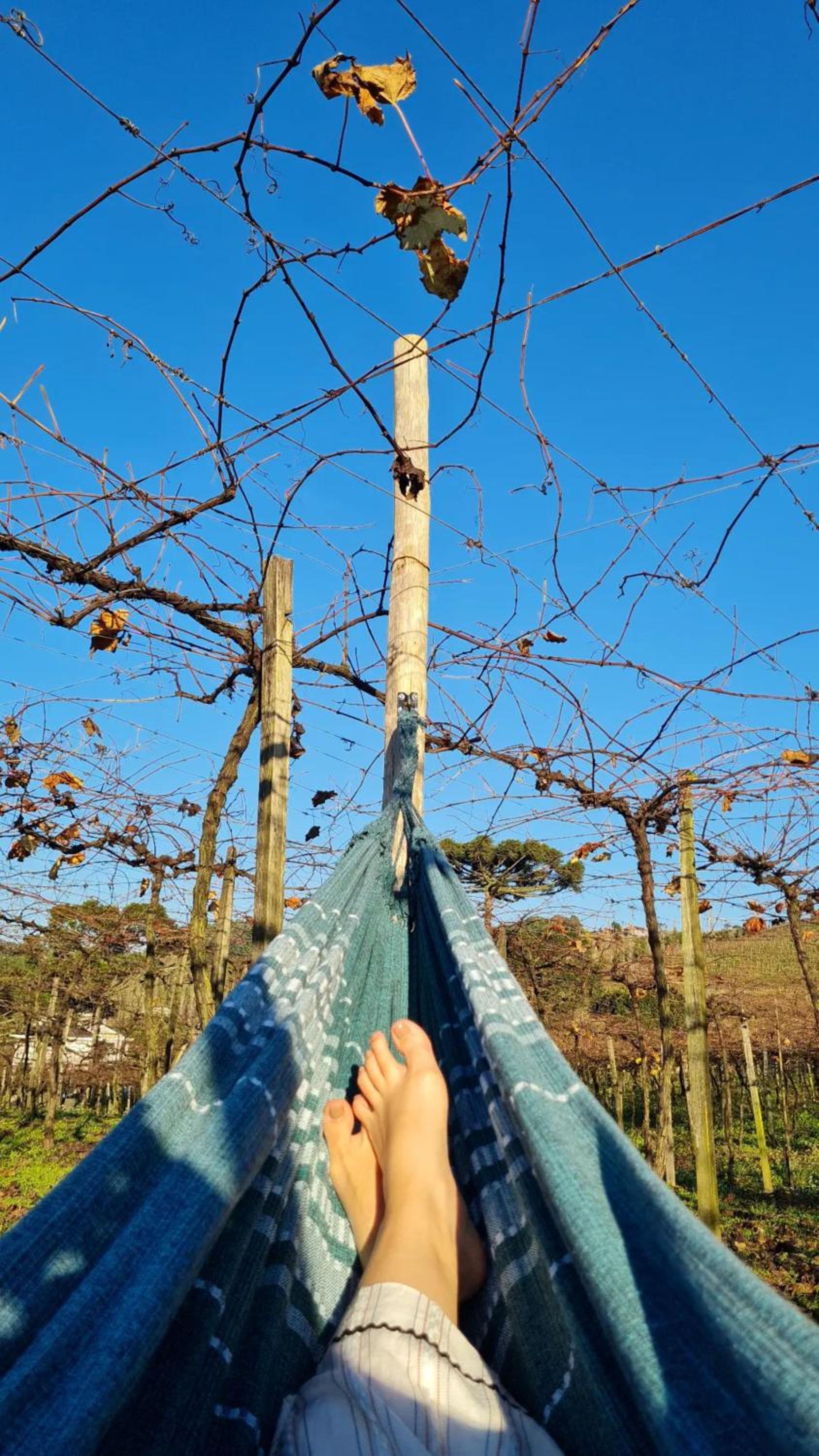 CABANAS LE VIGNE