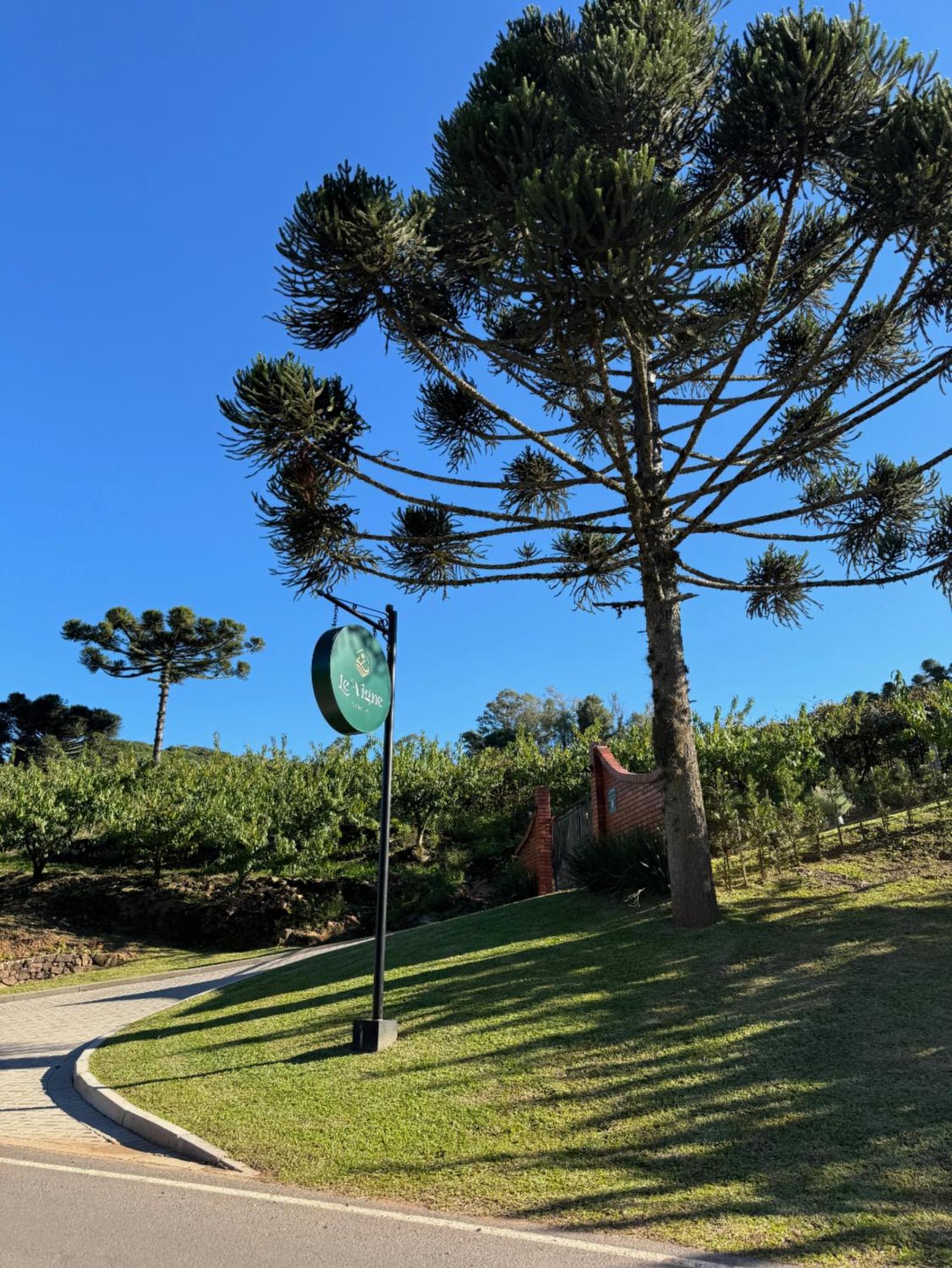 CABANAS LE VIGNE