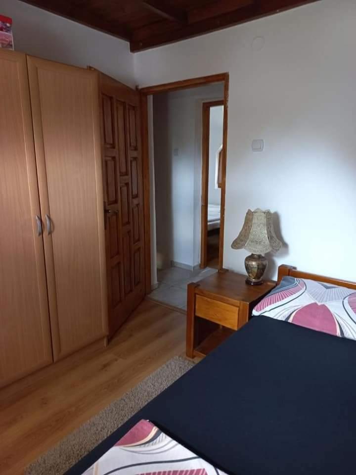 Zoja Apartman Vlasinsko Jezero