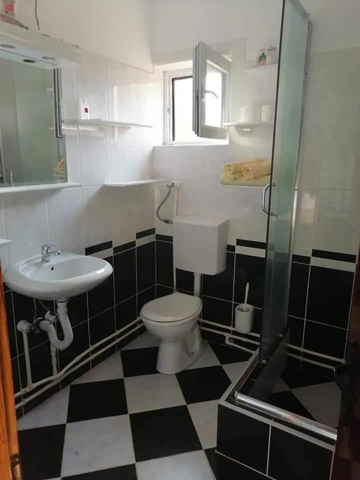 Zoja Apartman Vlasinsko Jezero