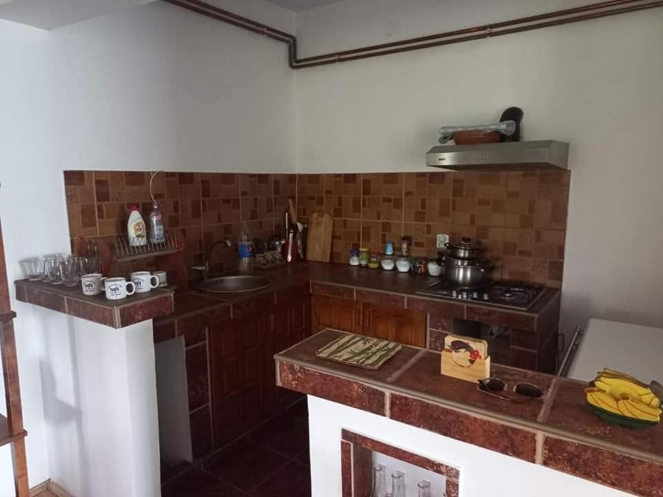 Zoja Apartman Vlasinsko Jezero