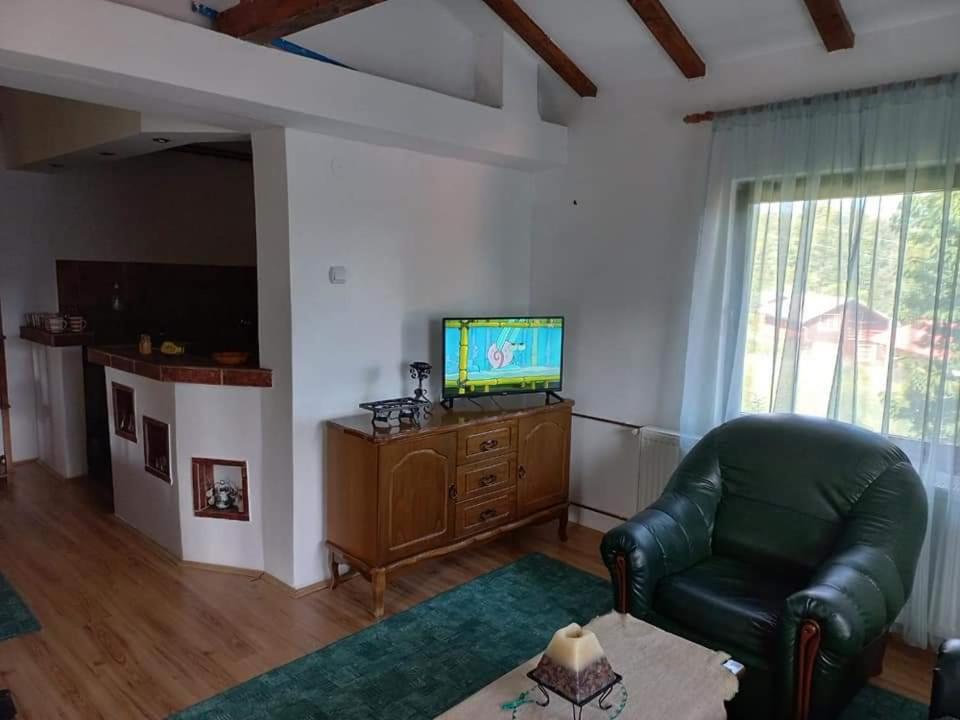 Zoja Apartman Vlasinsko Jezero