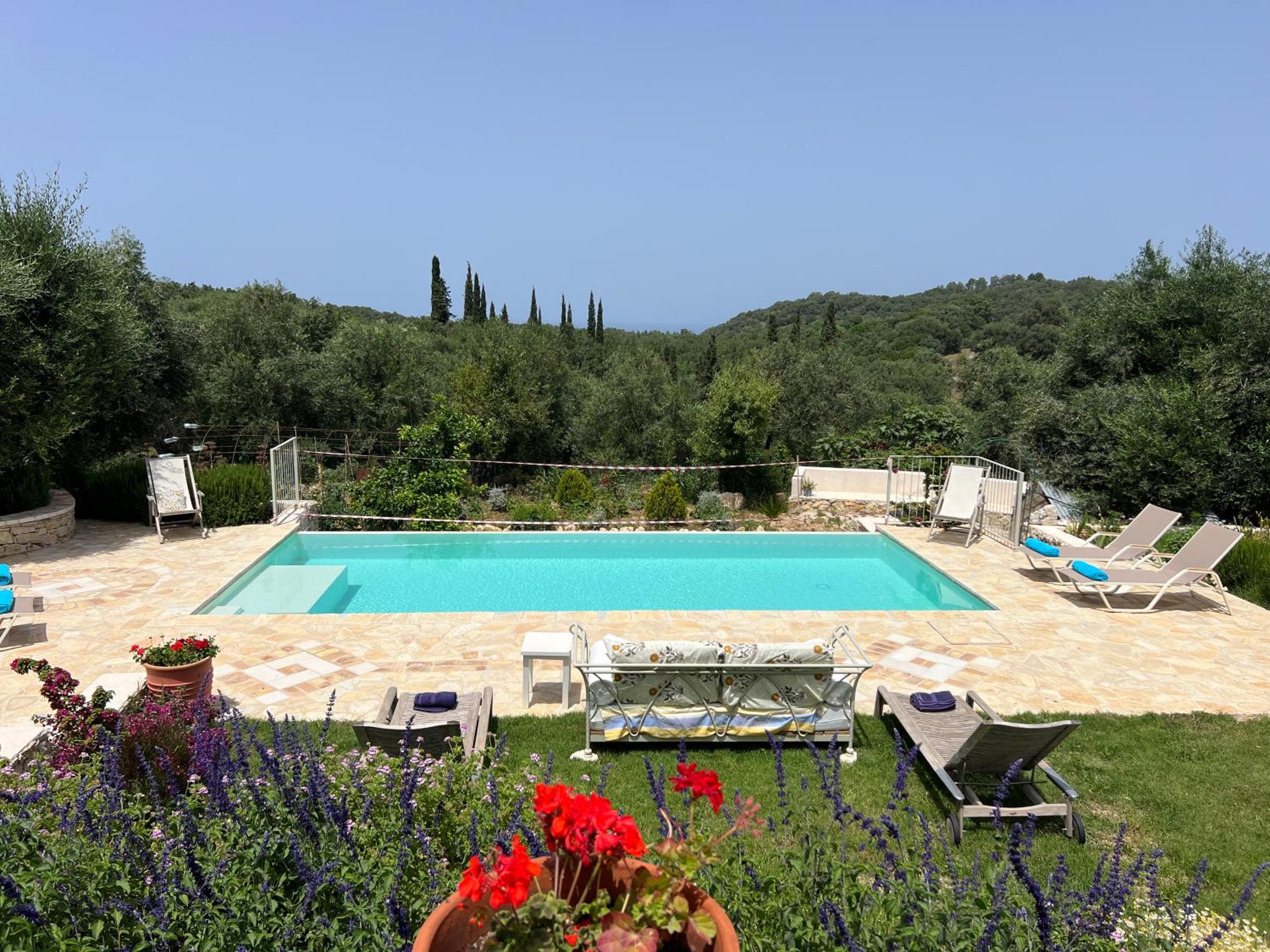 Villa Natura photo 4