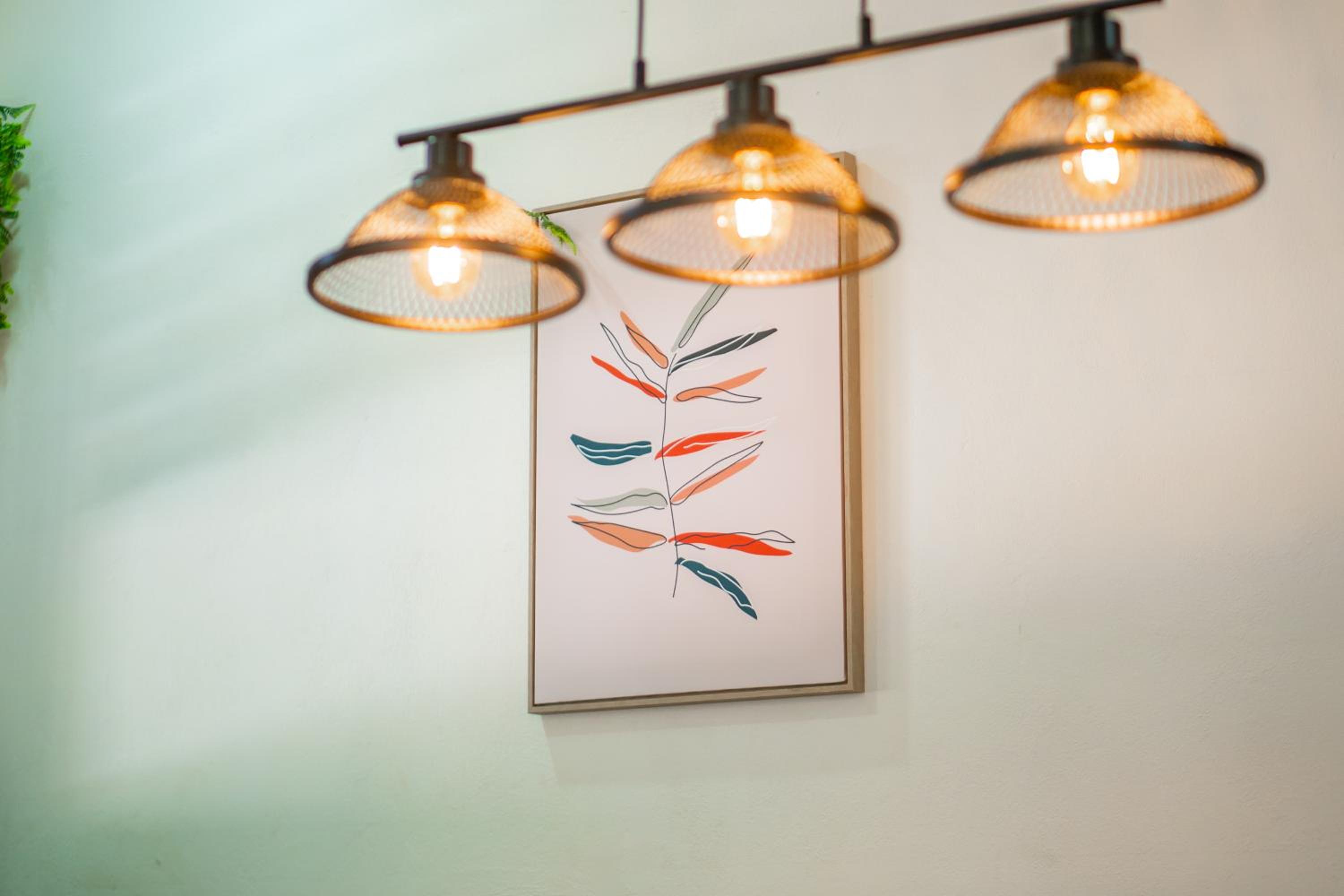 Bromelia Studio