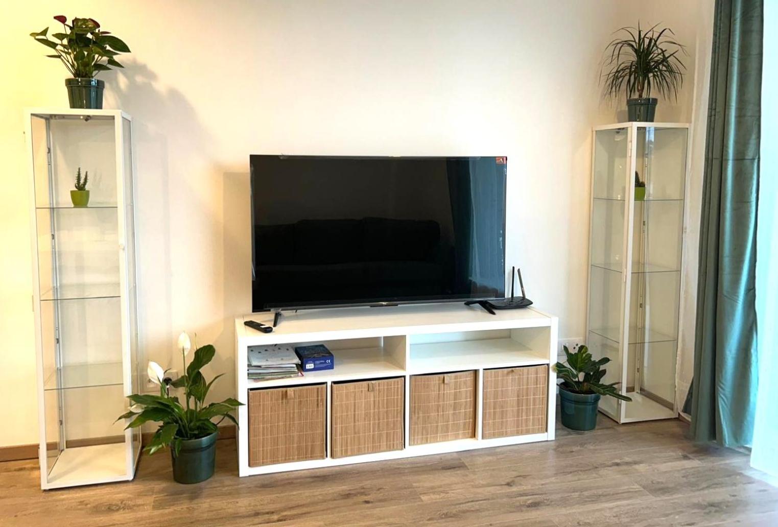 Palo Verde