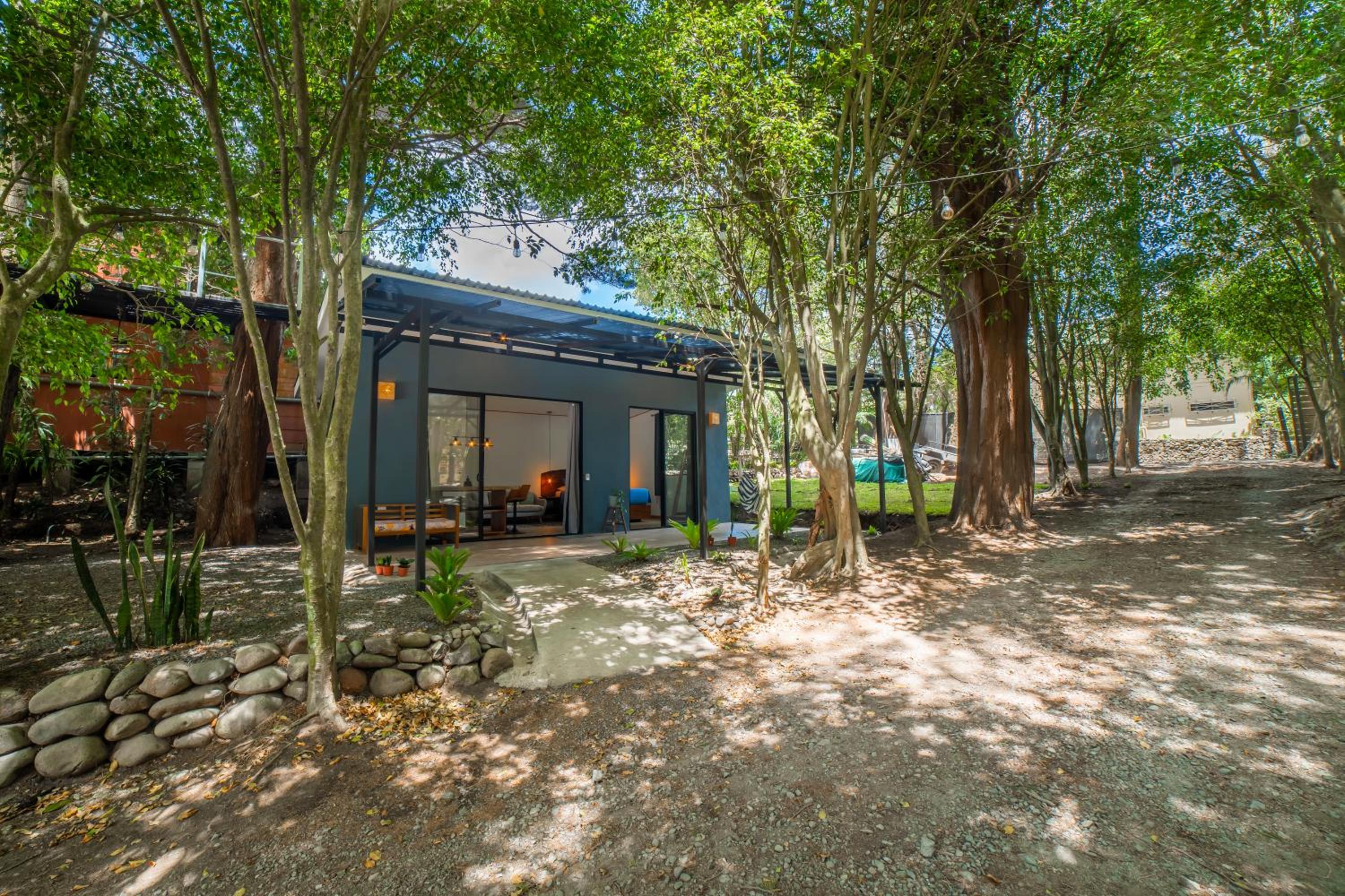 Bromelia Studio
