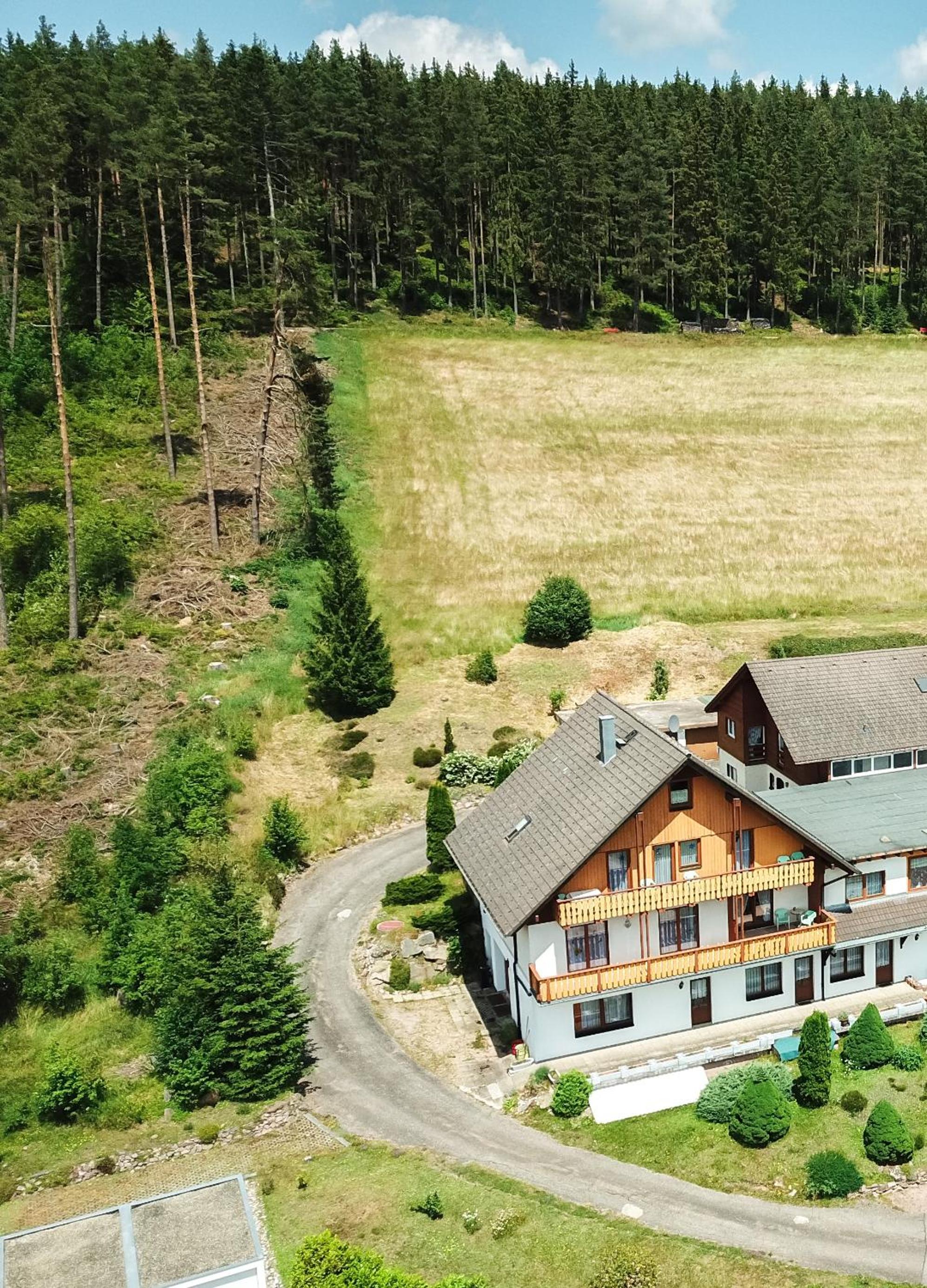 Black Forest Holidays - Auerhahn - Schwarz Wald
