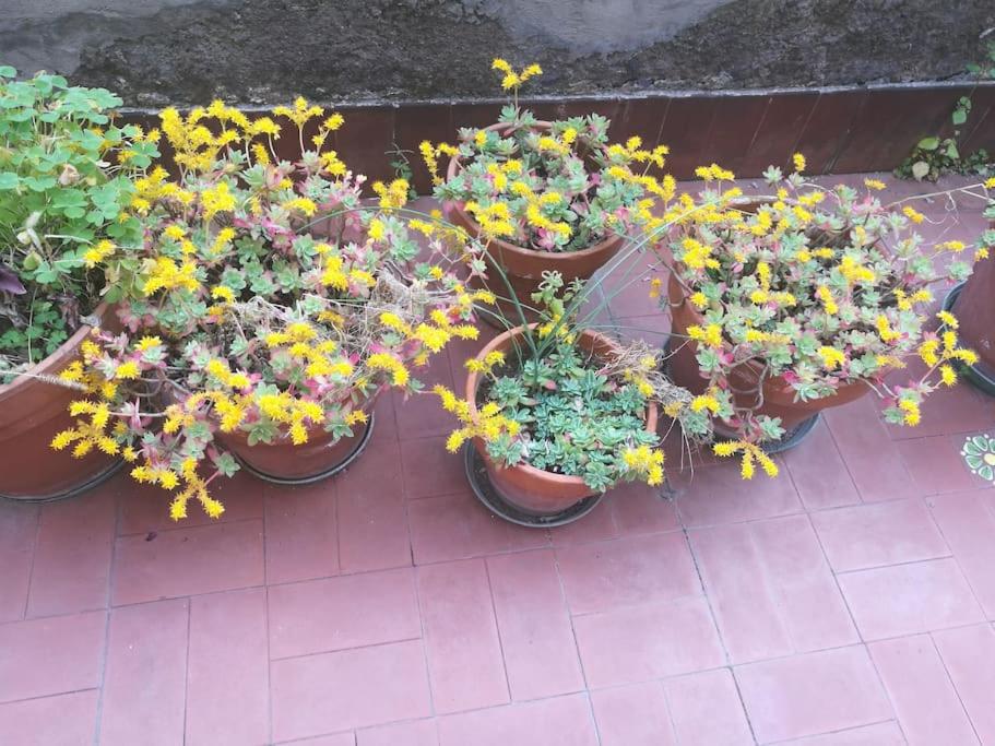 Sole ampi spazi quiete John apartaments photo 5