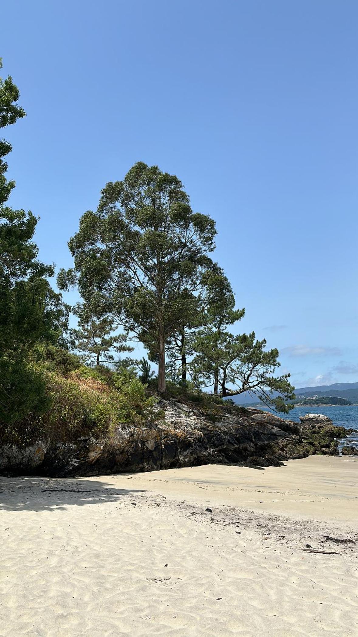 Portosin pueblo apartamento piscina playa A Coruña