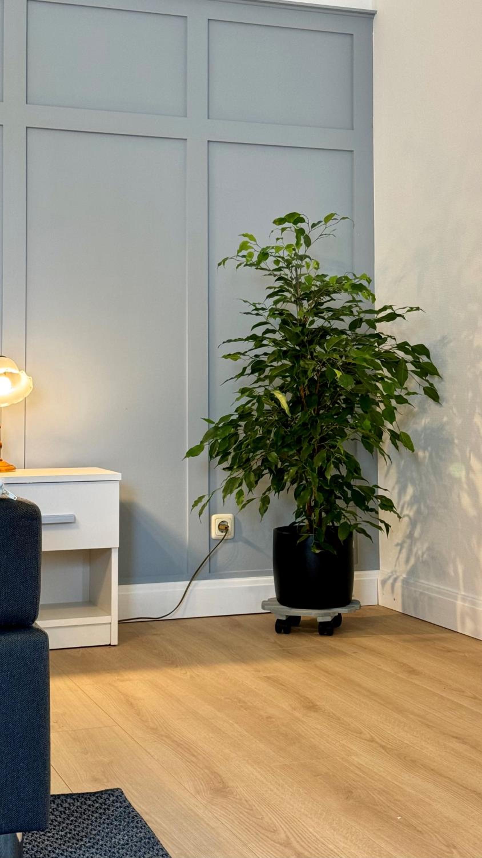 Smiles Homes Appartement 52m2 im Hotel Mauritius - Privatparkplatz kostenfrei, Frühstück buchbar, direkt im Zentrum