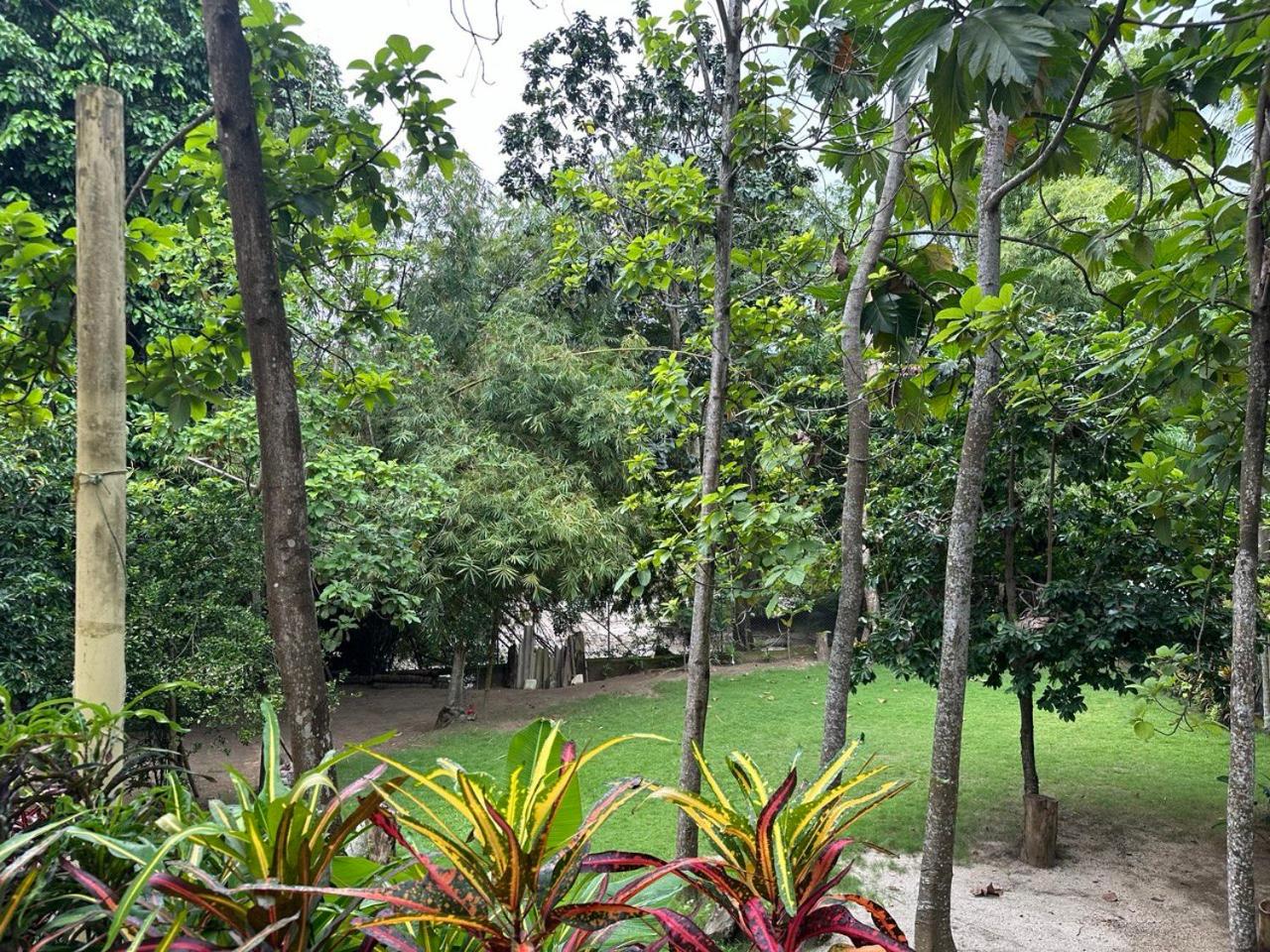 Hostal y Camping Villa Guadua Tayrona