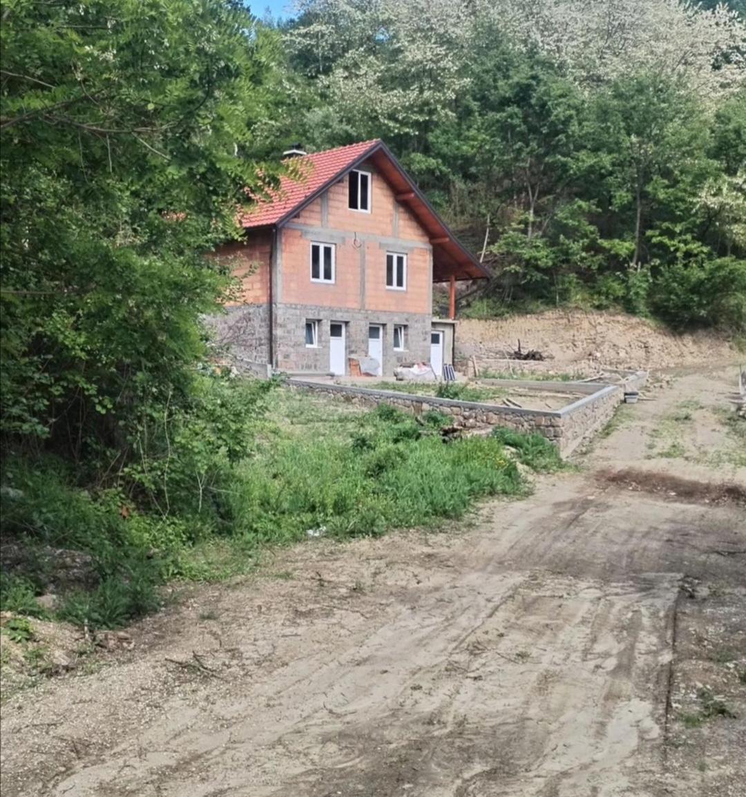 Šumska zora