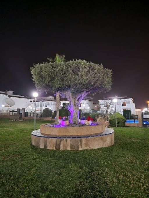 Punta Prima Flat with private roof terrace
