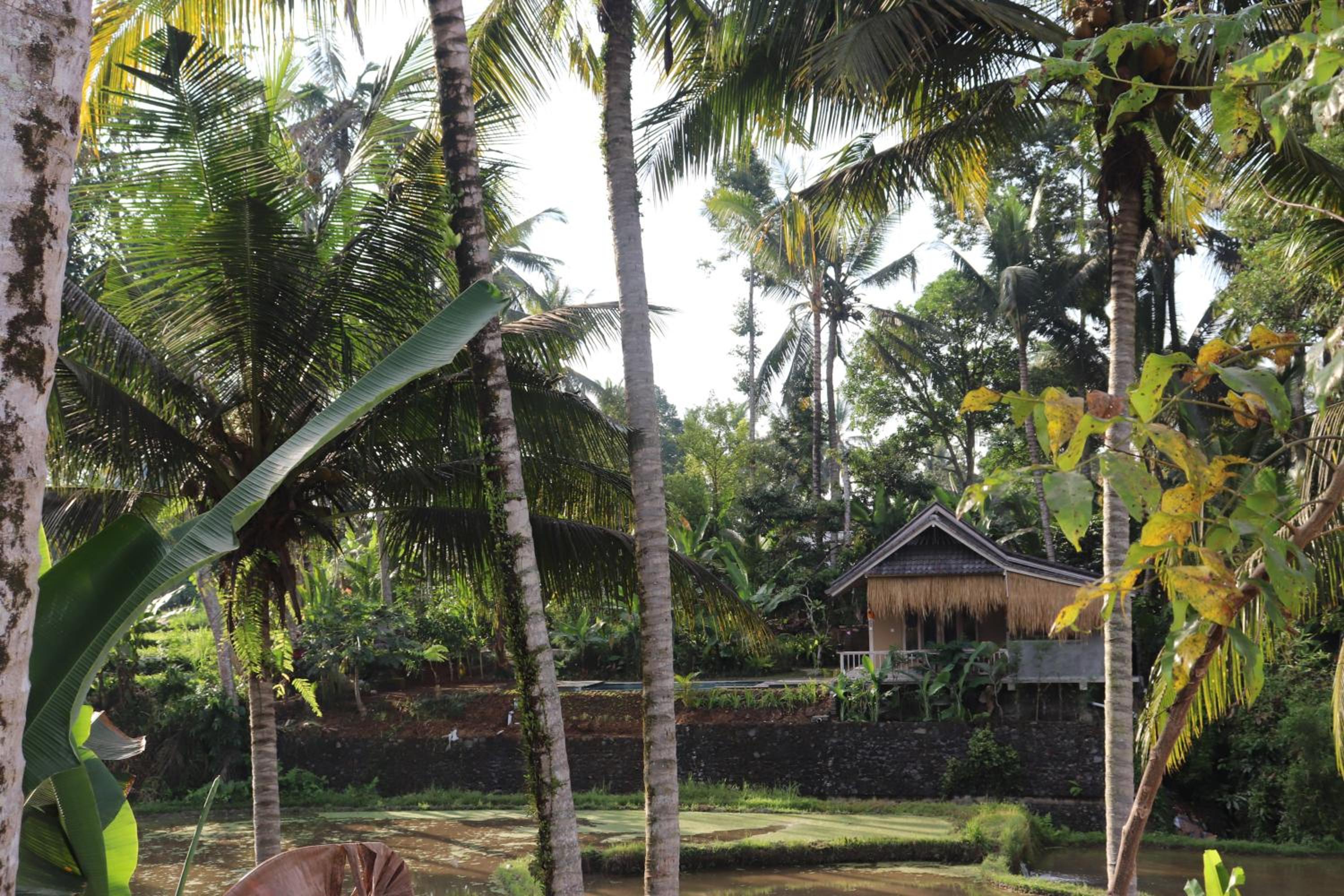 Pondok Kembar Ubud