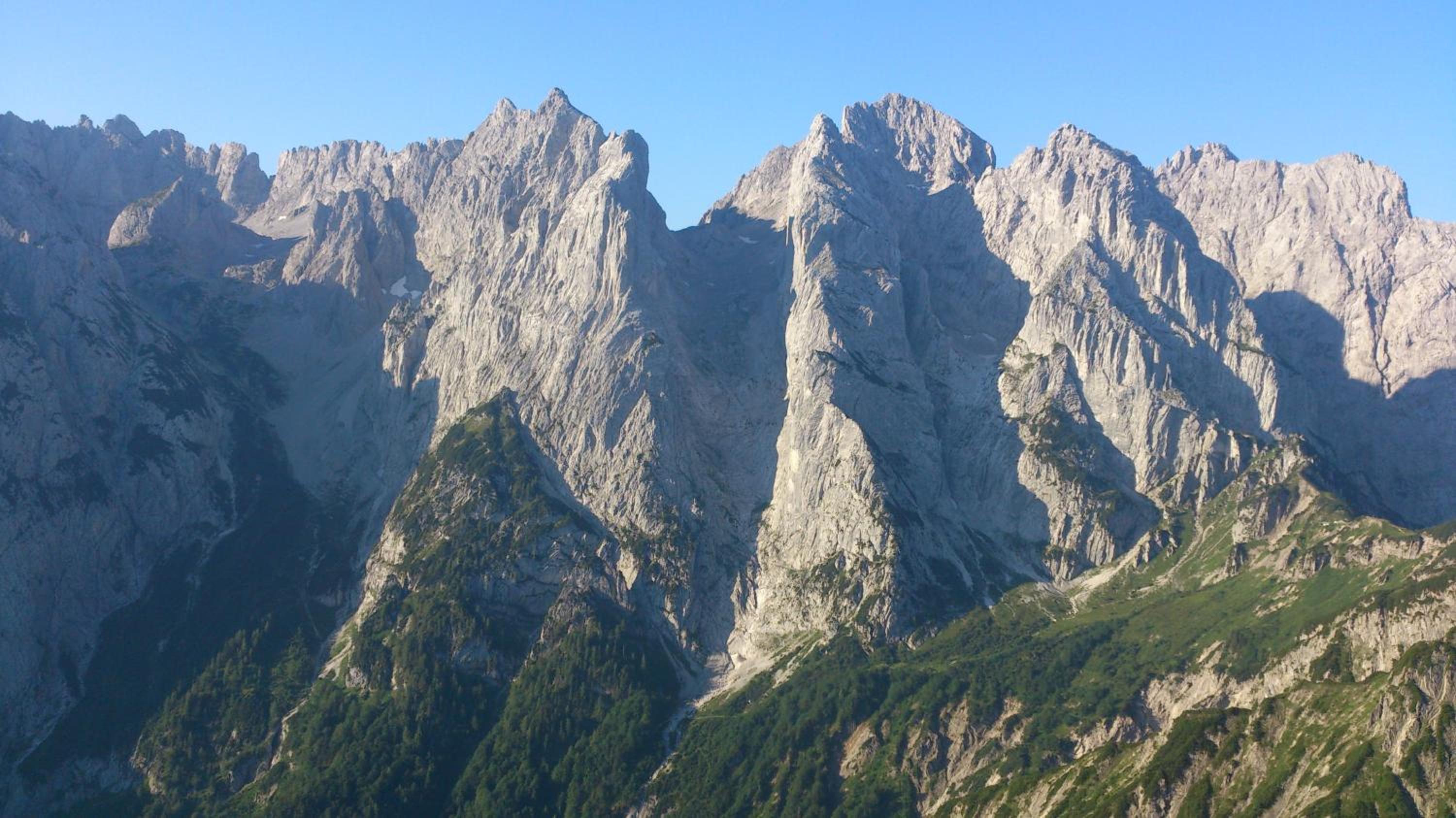 Photo 41