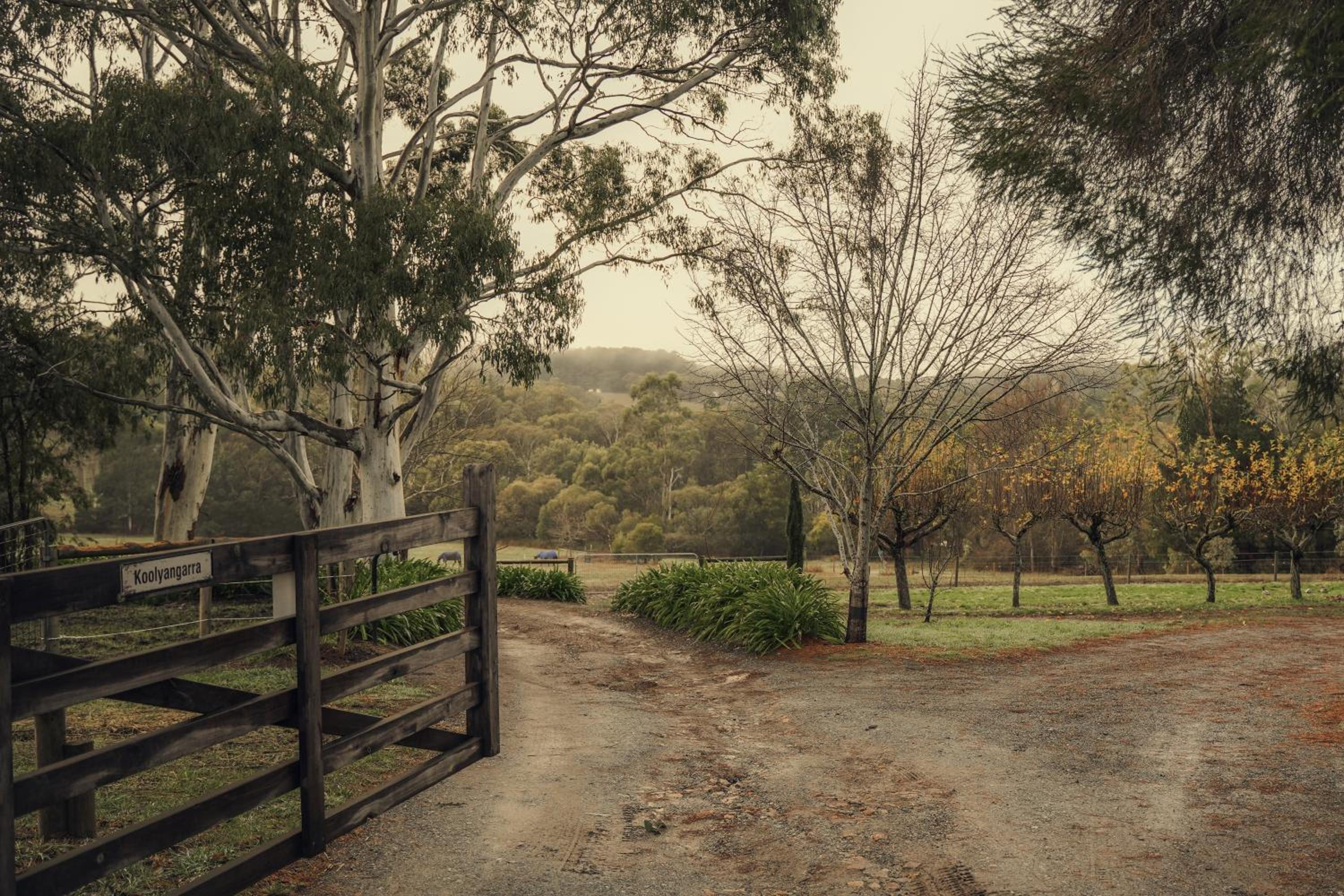 Koolyangarra Cottage Adelaide Hills