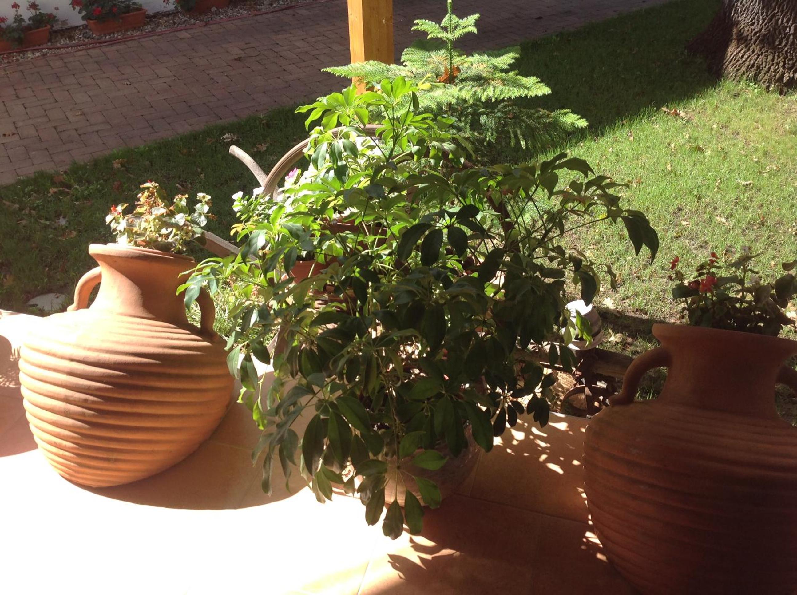 Photo 21