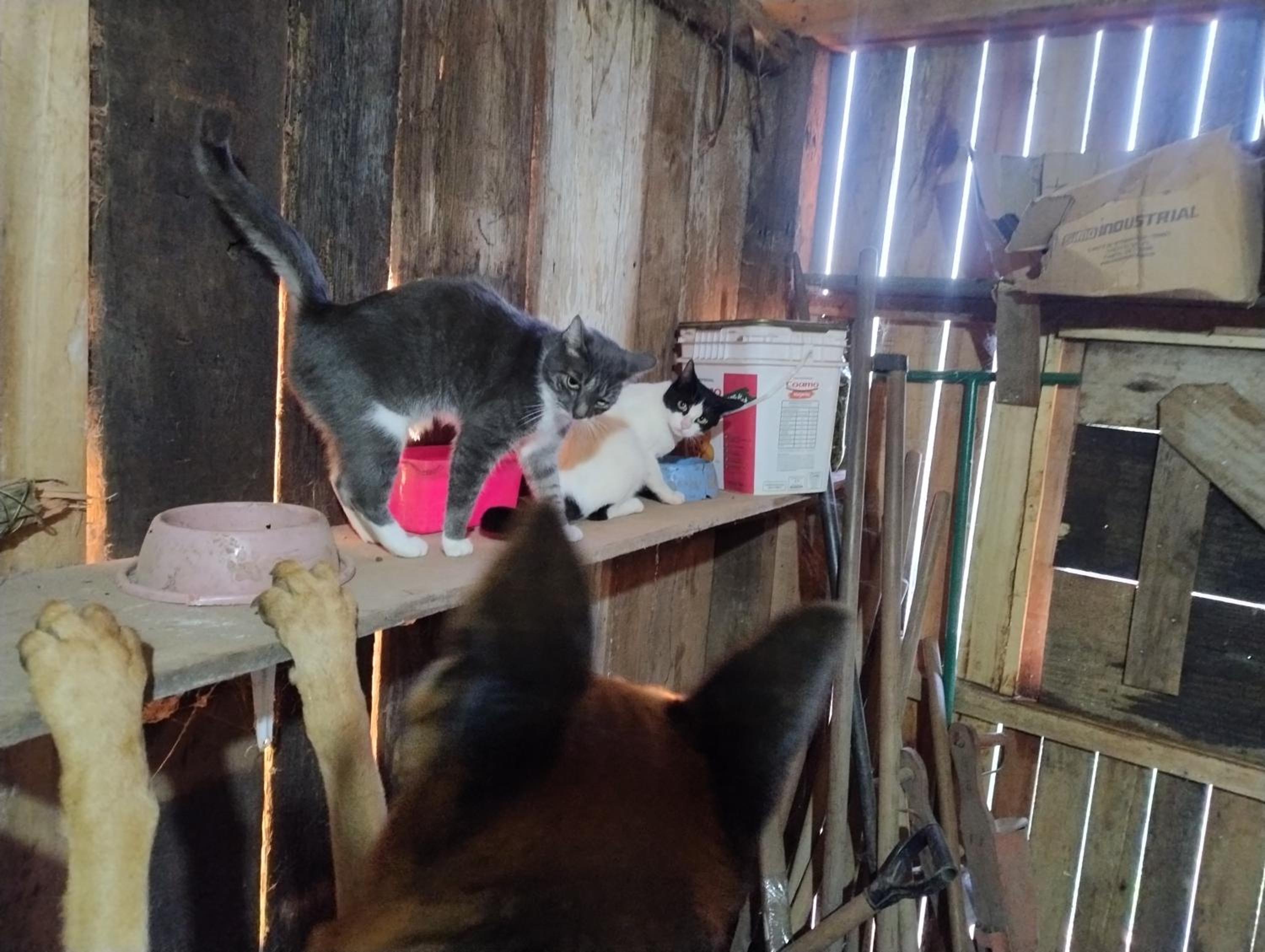 Cabana com banheira na colina