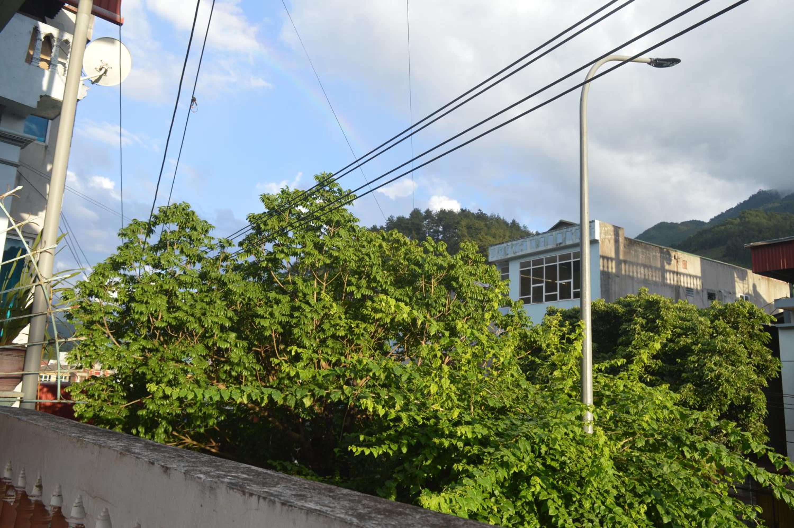 Photo 43