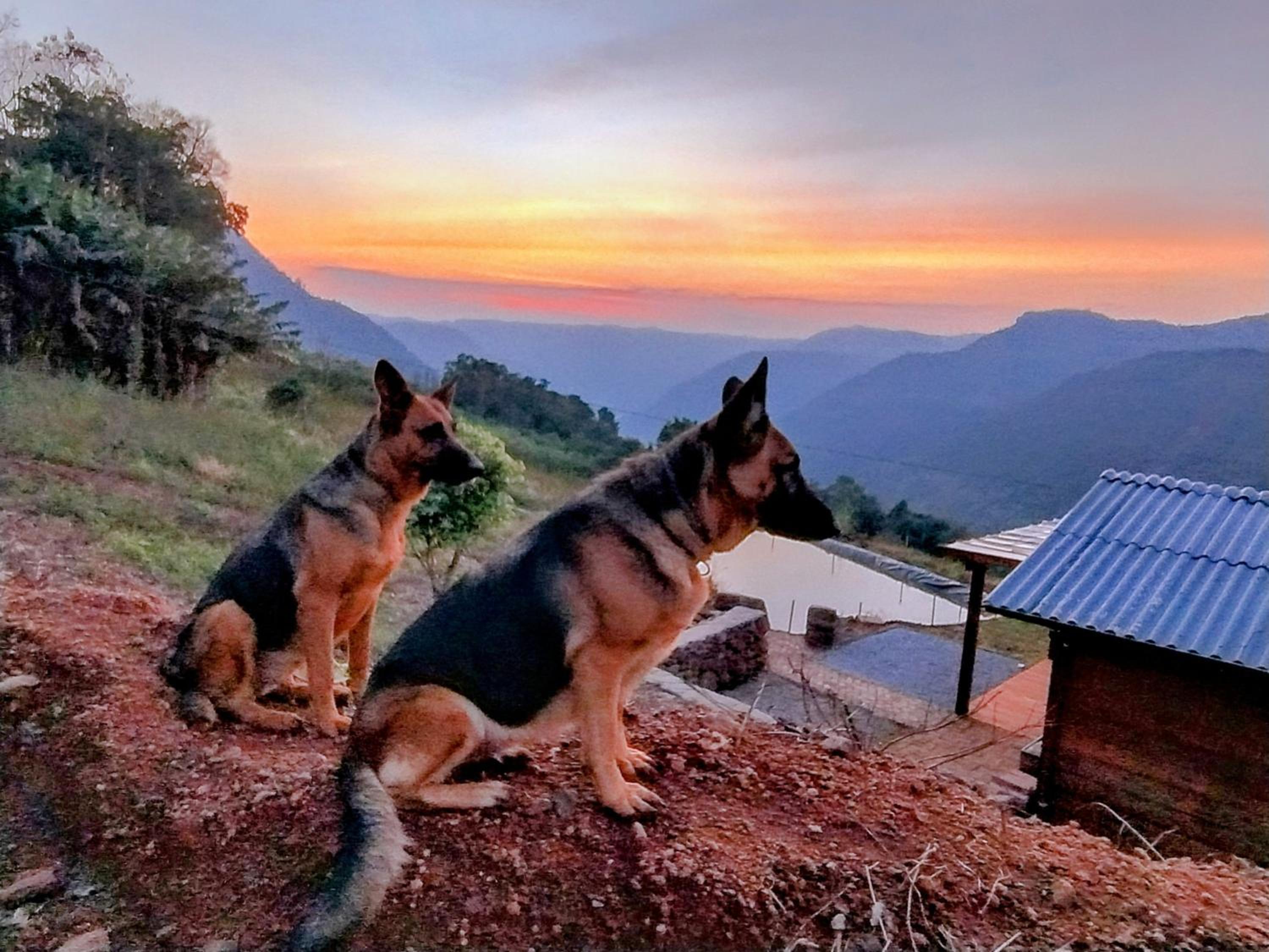 Chalé romântico com vista e banheira