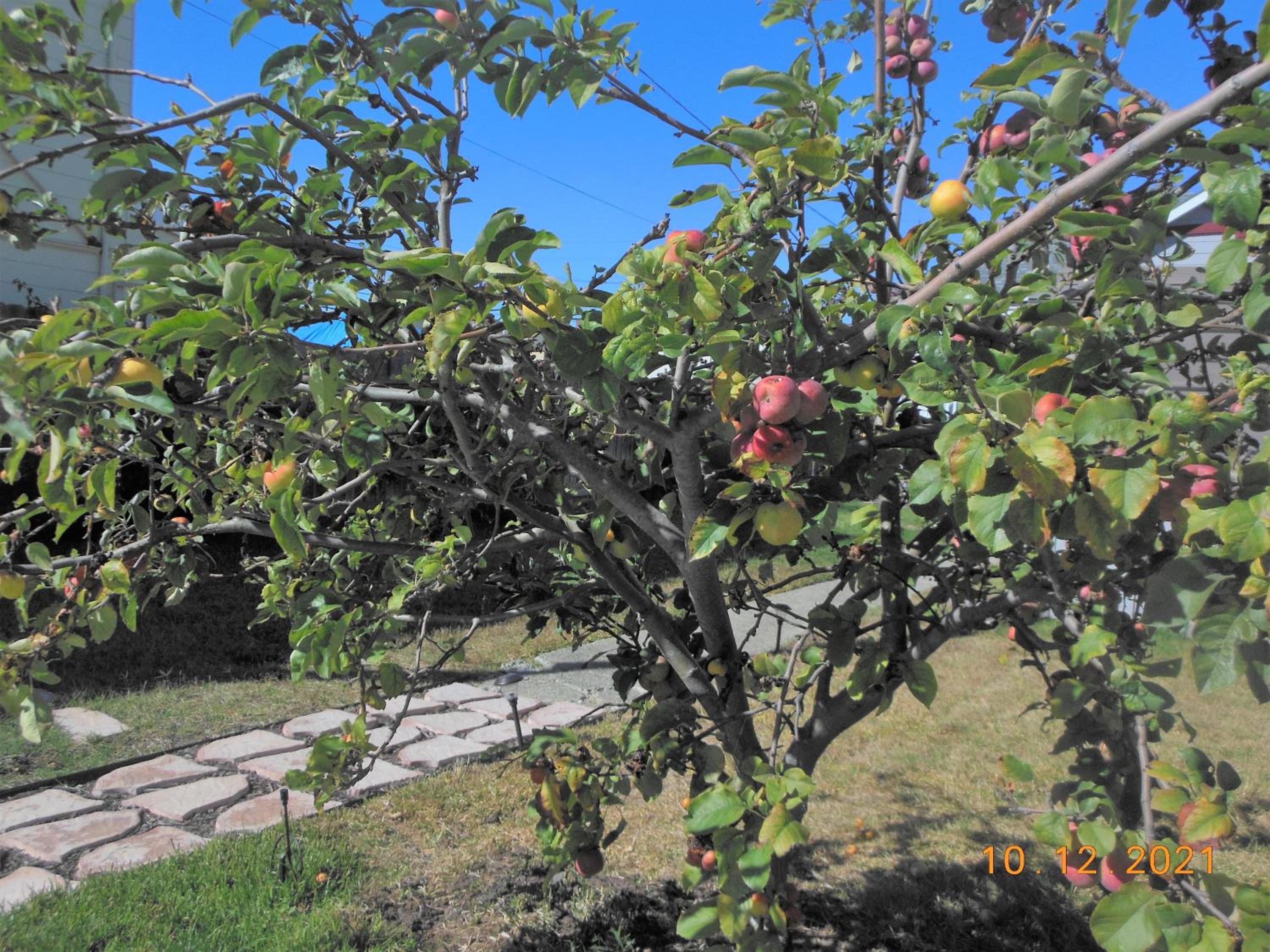 Photo 35