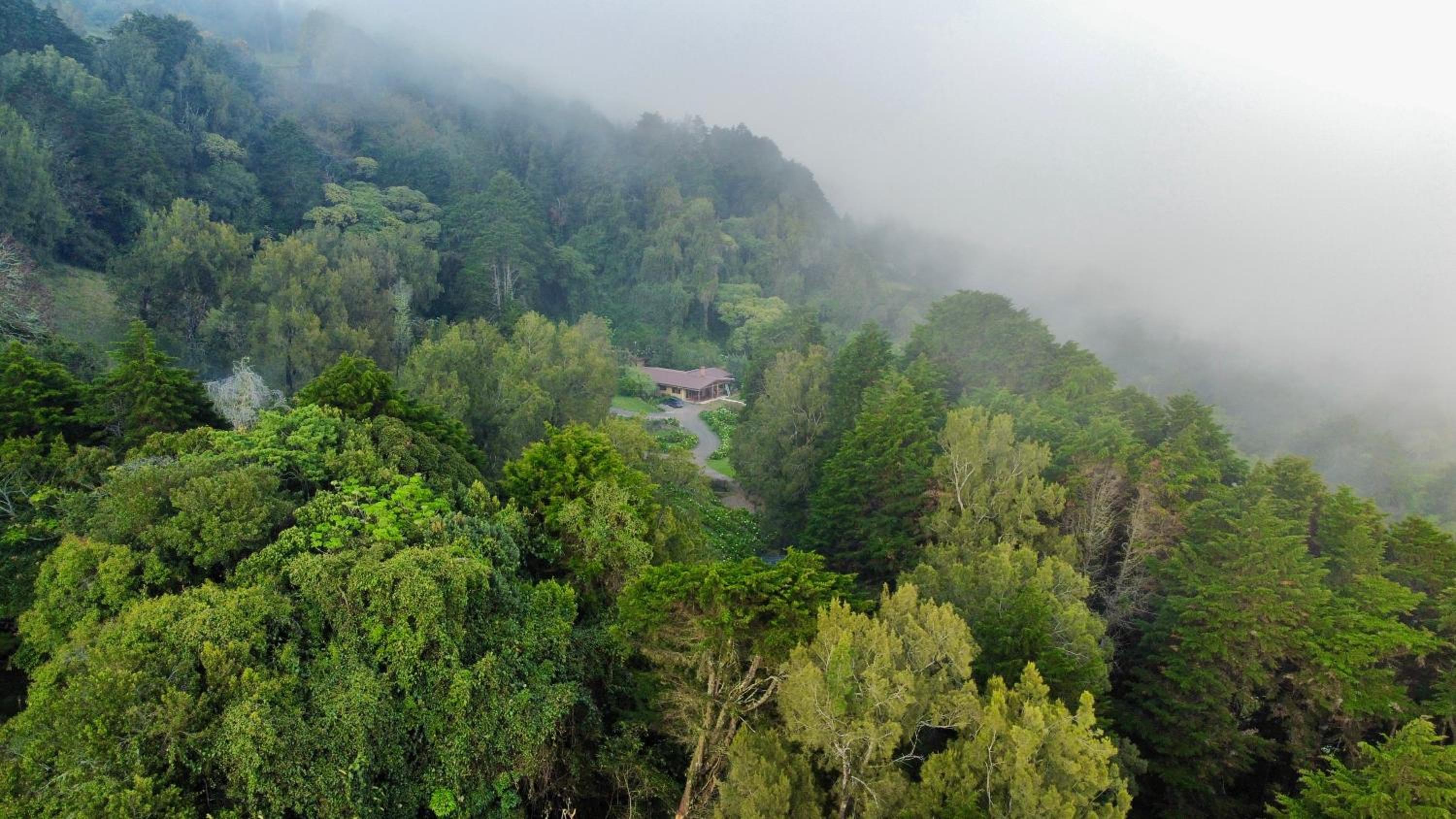 Peaceful Mountain Experience - Coyote House