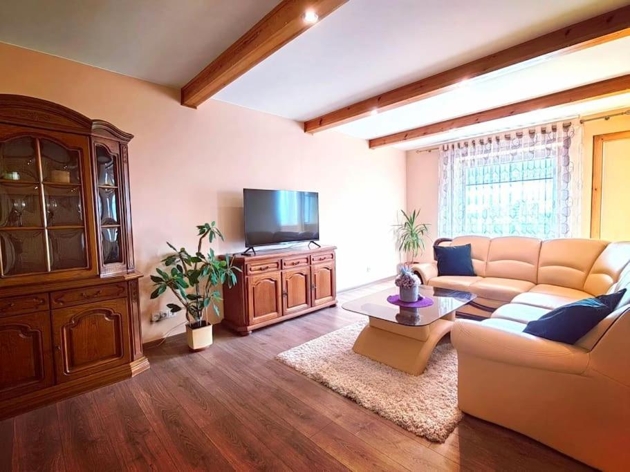 Lyra cozy large apartment view 2