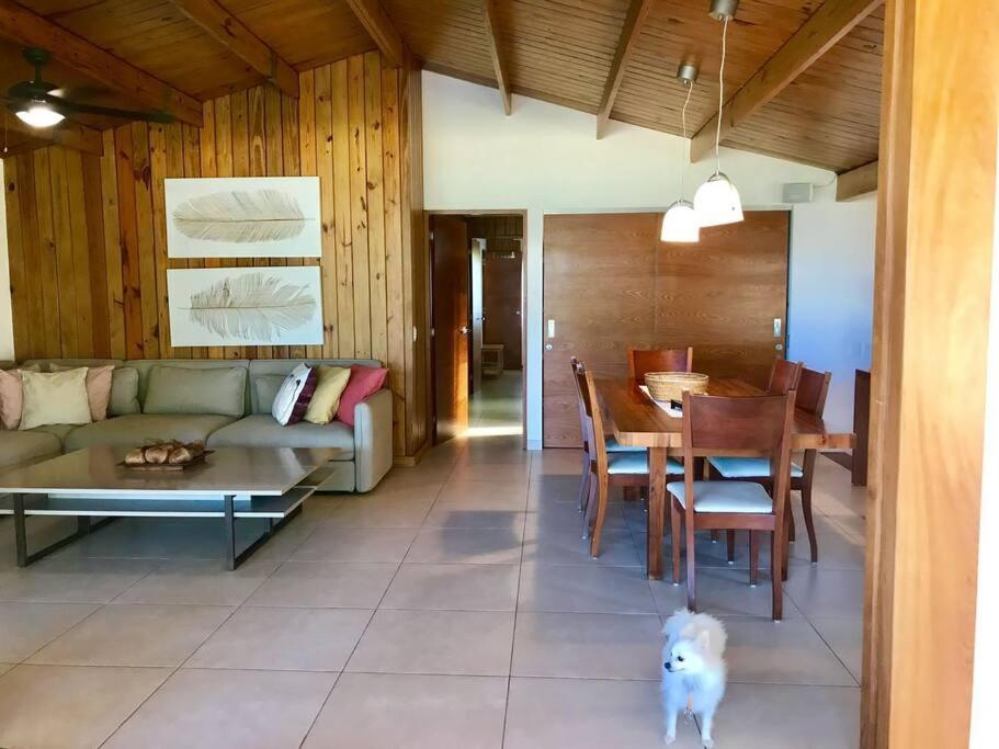 4 Br beachfront villa in las Terrenas view 2