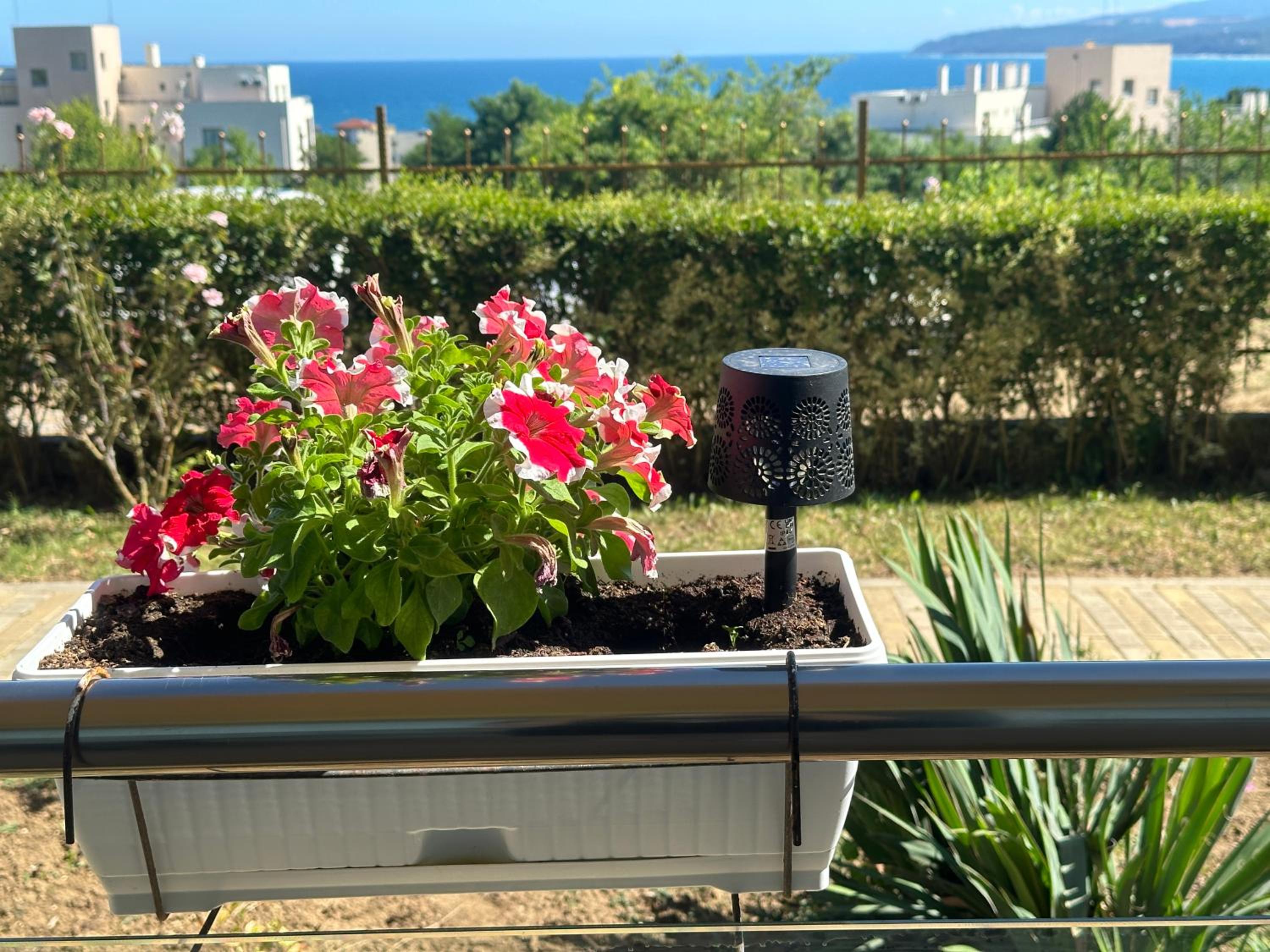 Apartament Savva