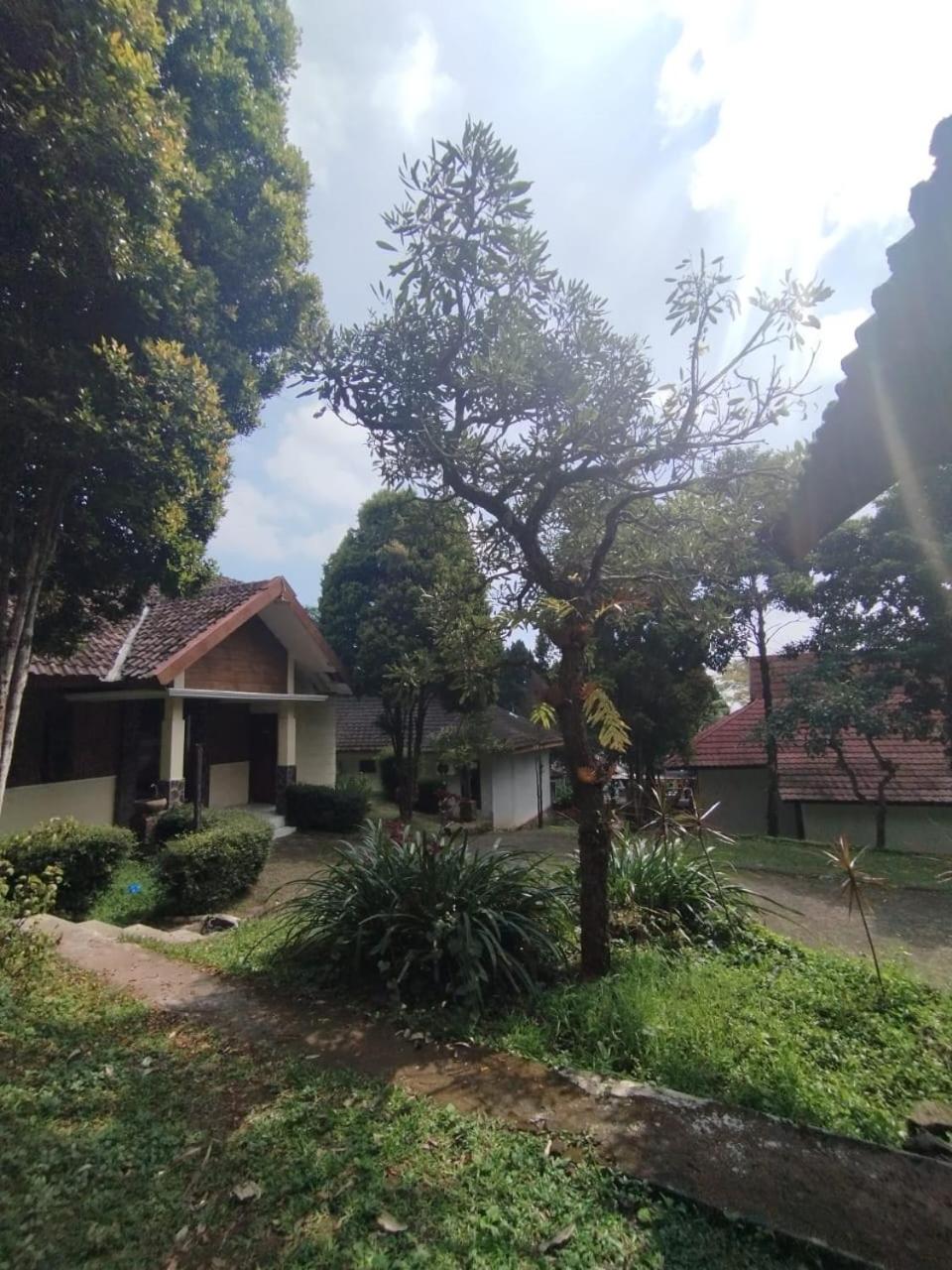 other