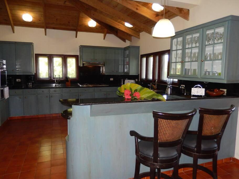 Beachfront villa with pool in Sosúa