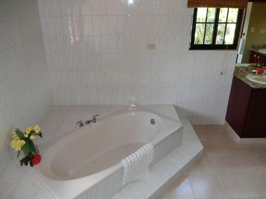 Beachfront villa with pool in Sosúa
