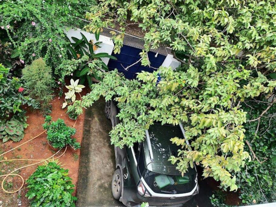 Hidden Gem, 3BHK Villa view 3