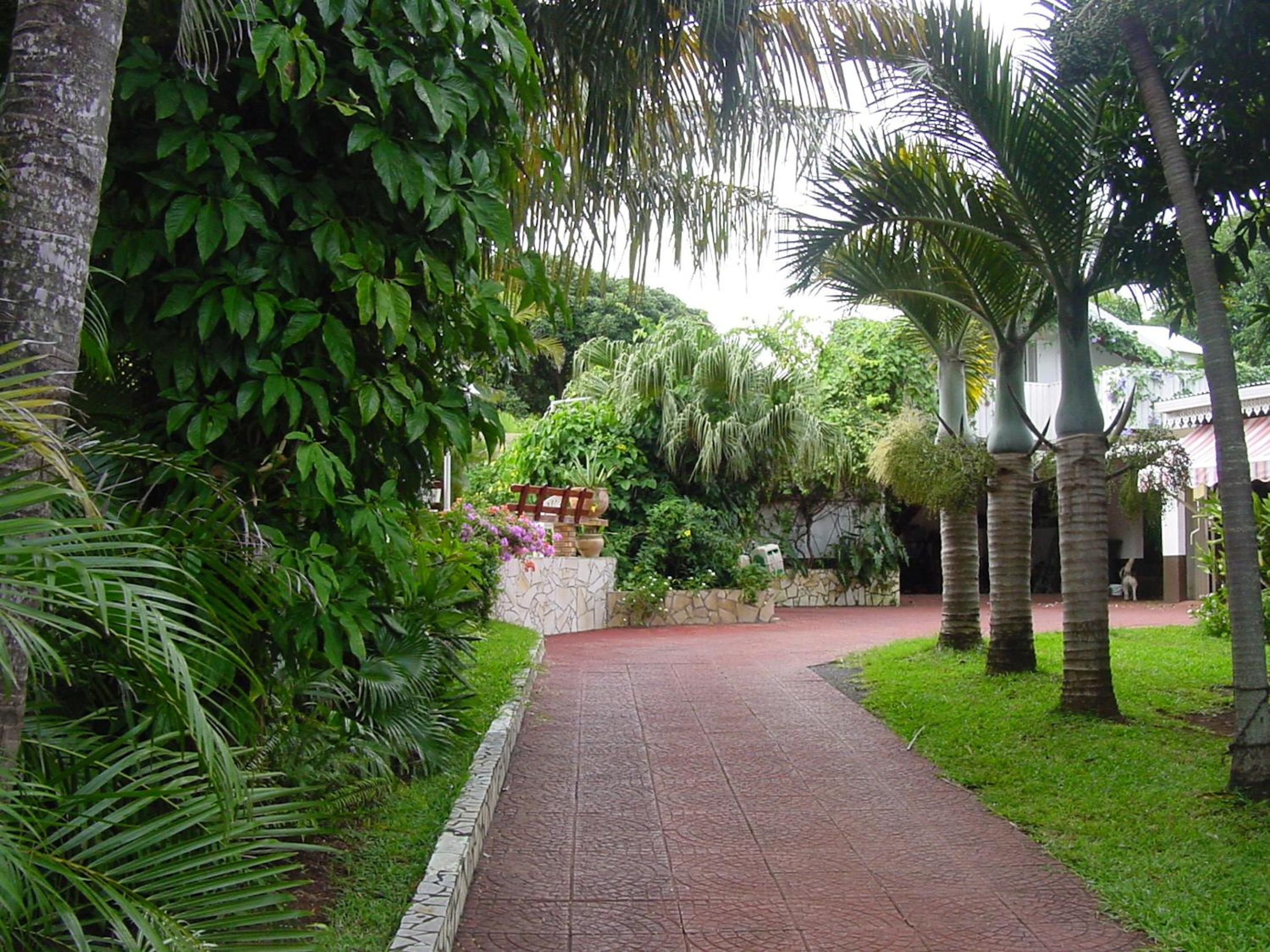 Photo 14