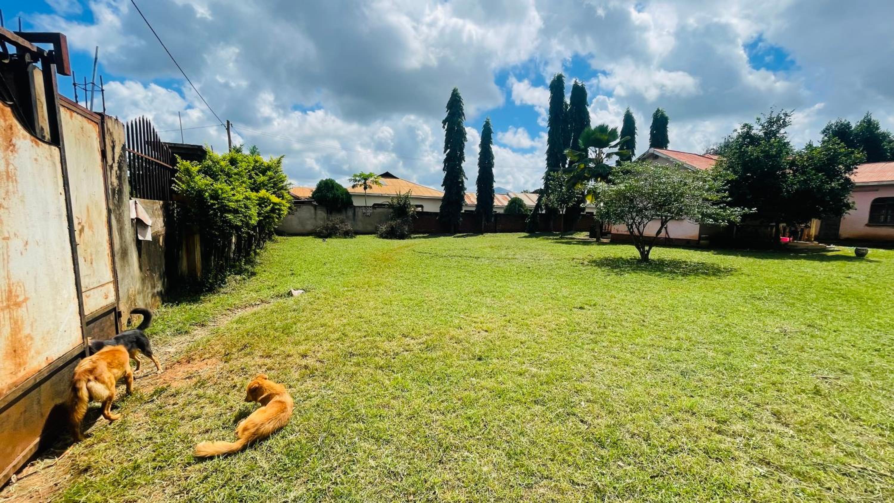 Serene Home in Morogoro view 3