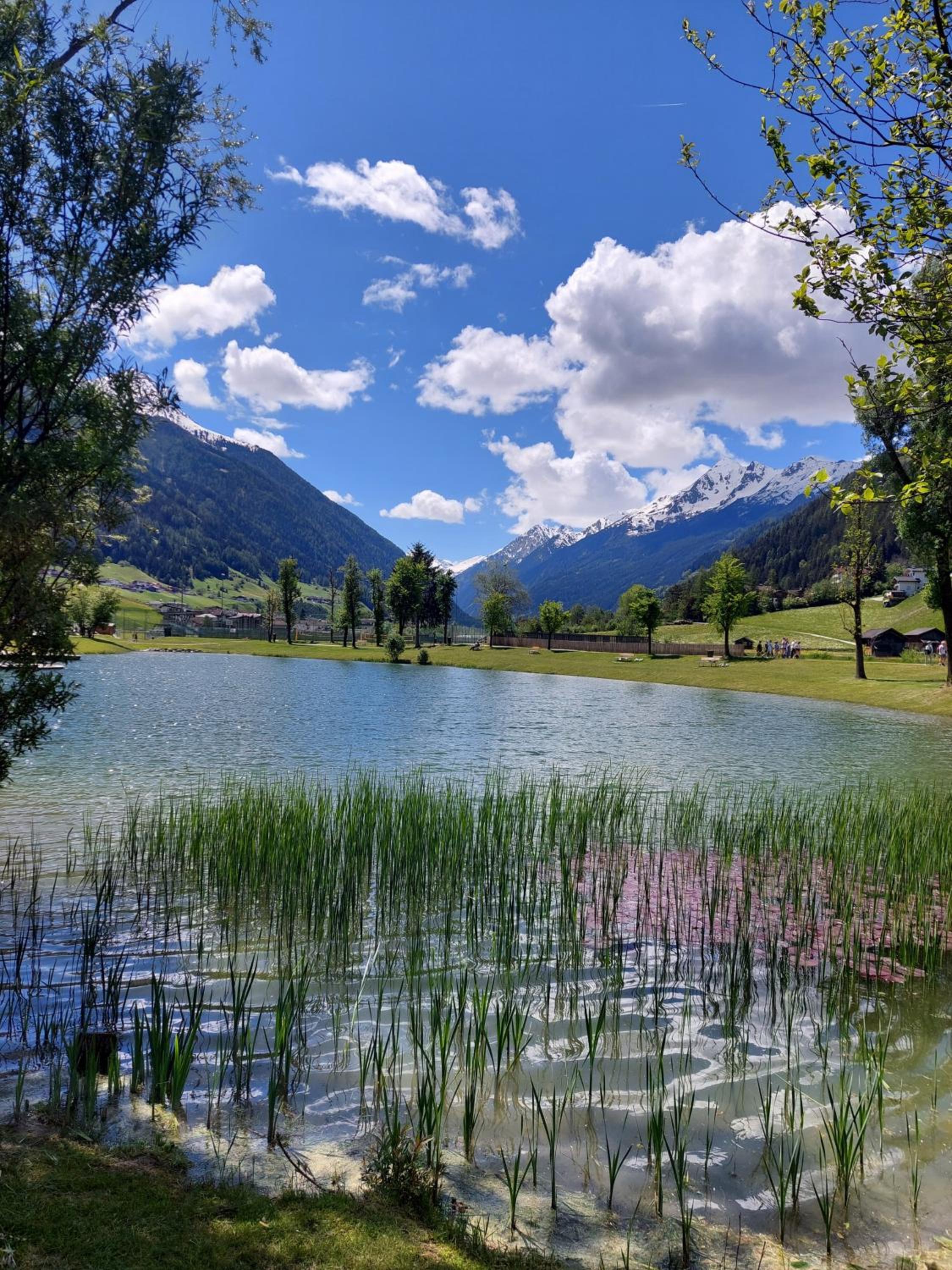 Pension Riese