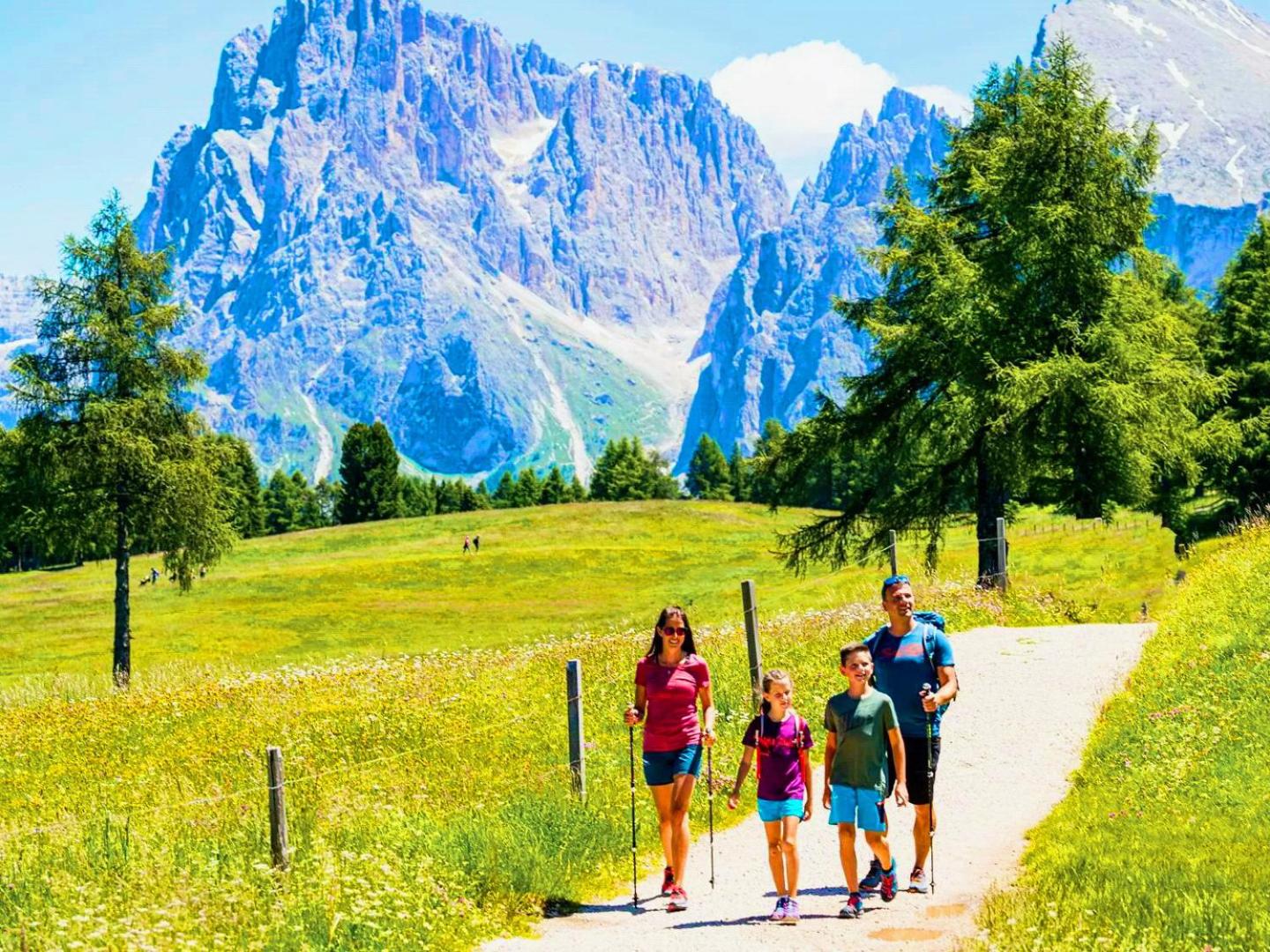 Vidora Apartments - Dolomites Escape in Alpe di Siusi (Seiser Alm) view 3