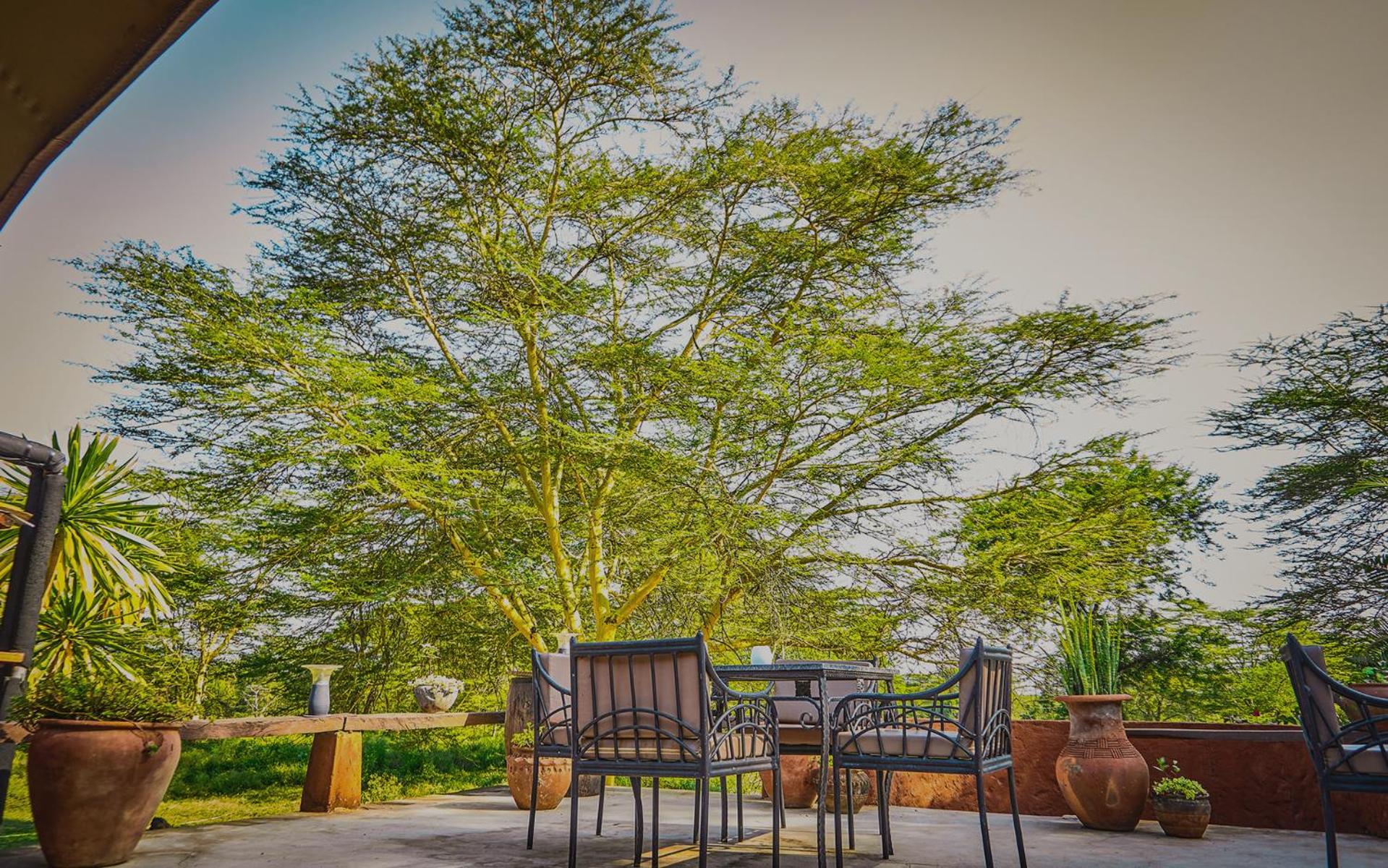 Raha Wildlife Resort