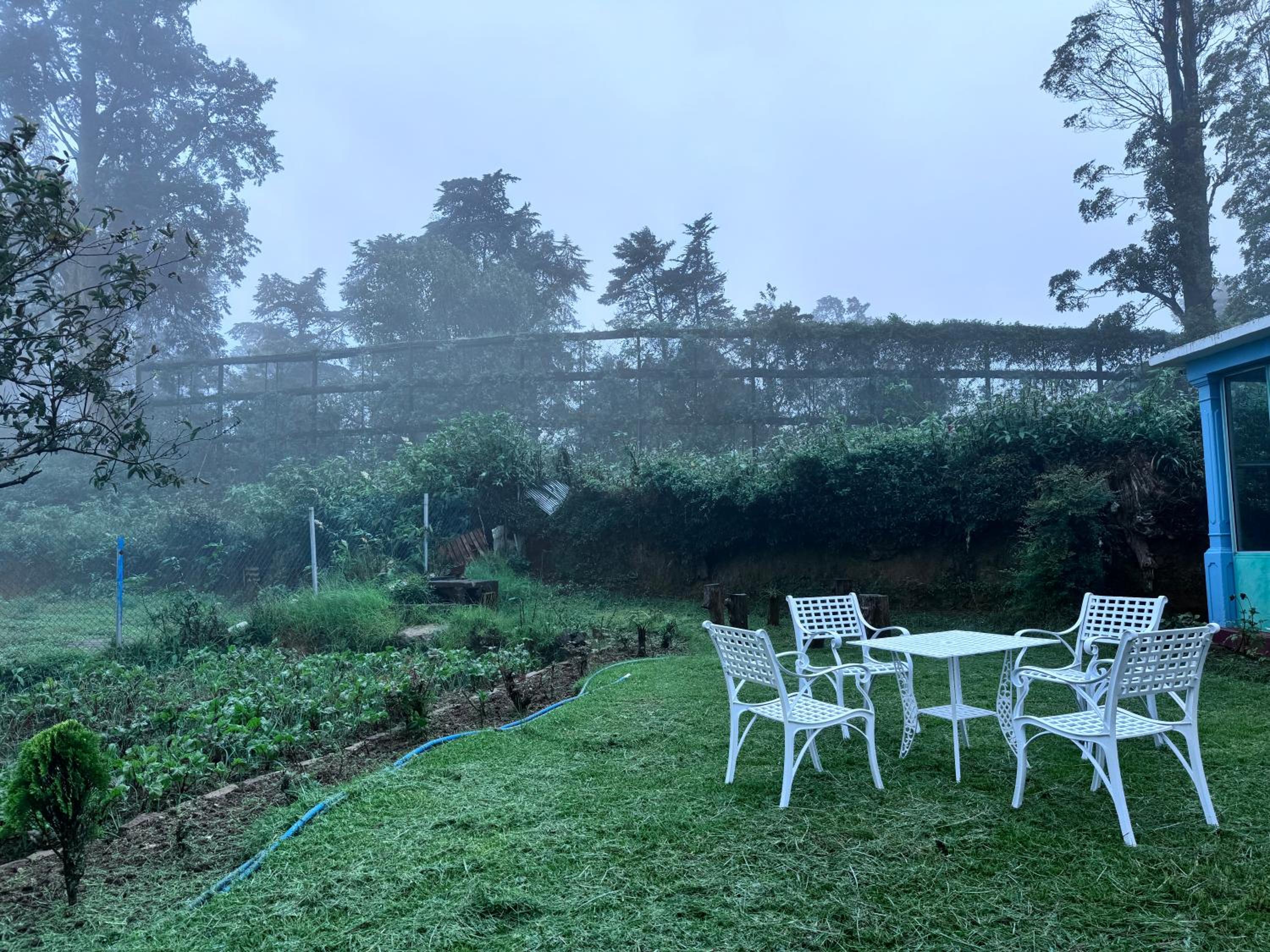 Trinity Guest-Inn view 4