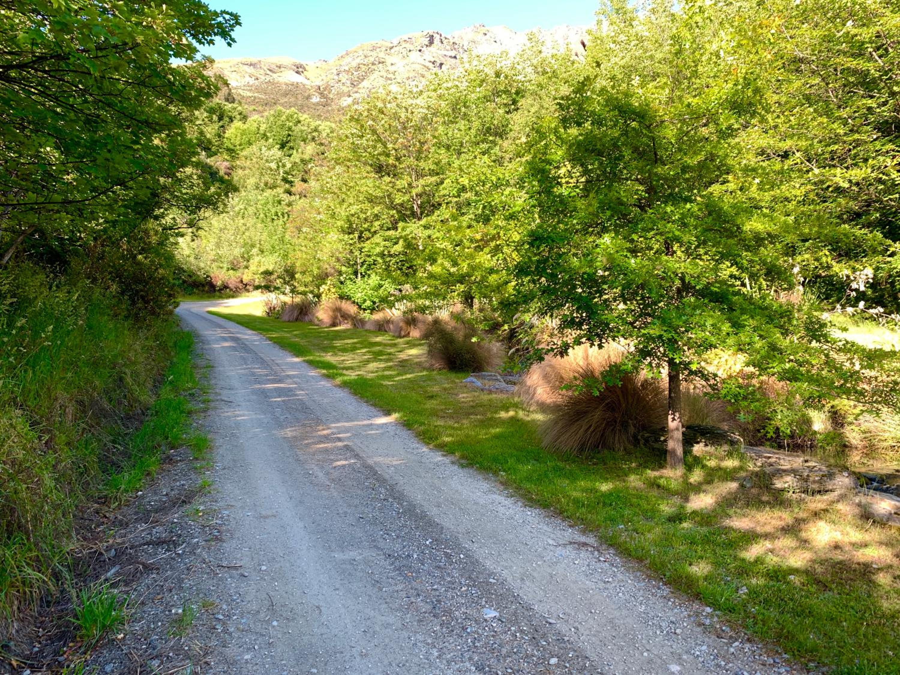 Photo 42