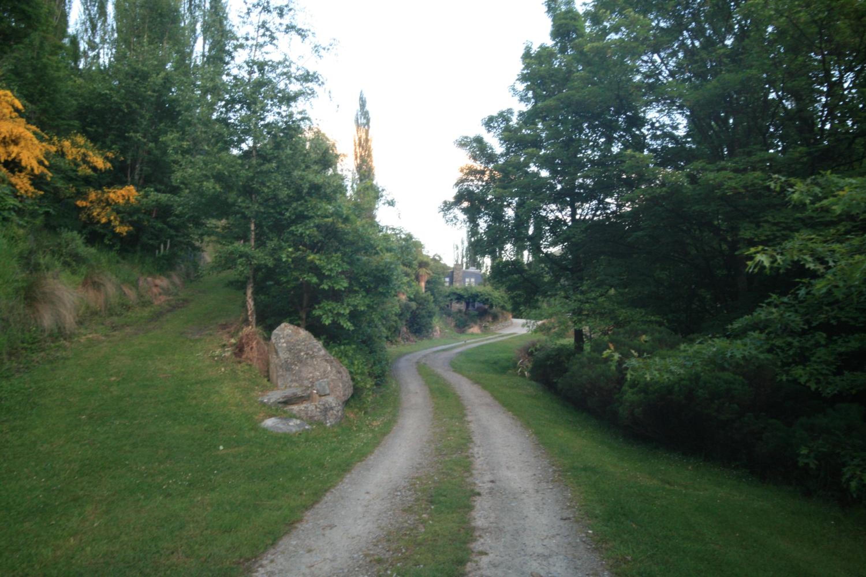 Photo 41