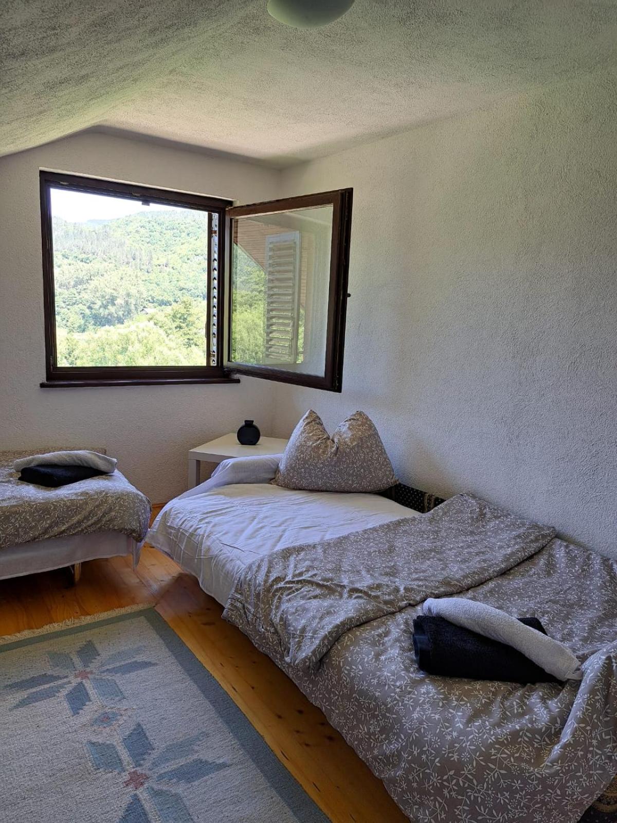 Lake House Ceric