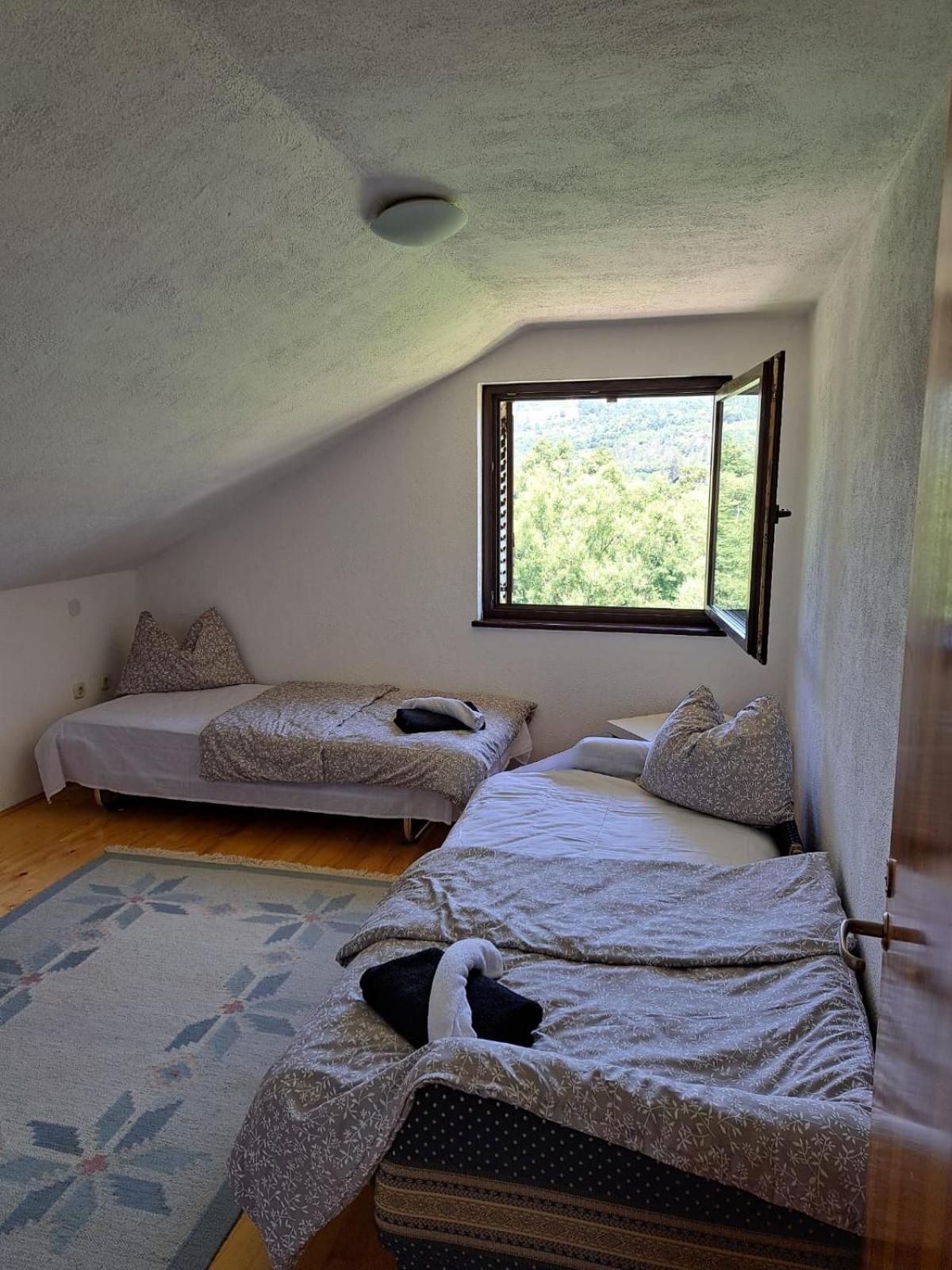 Lake House Ceric