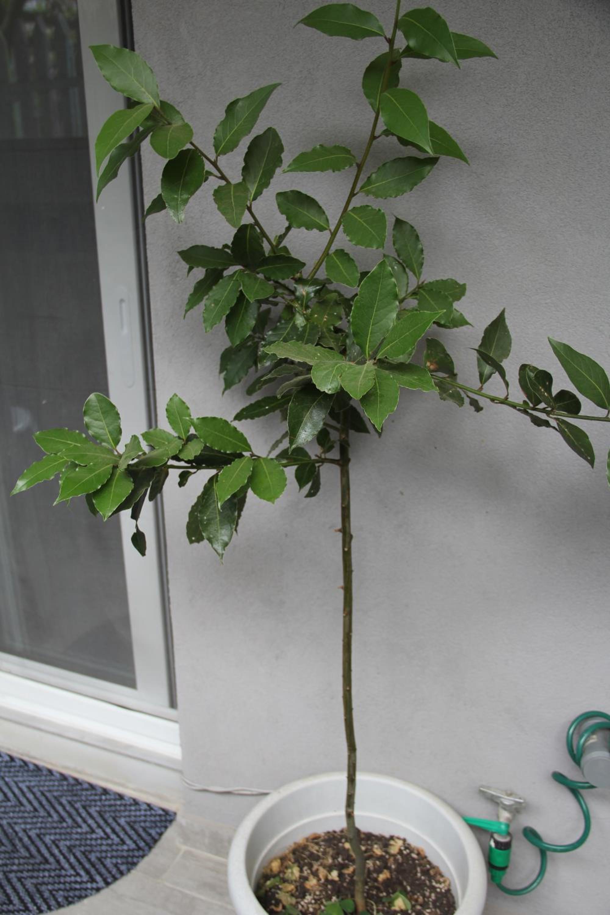 Apartment Patra Greece view 4