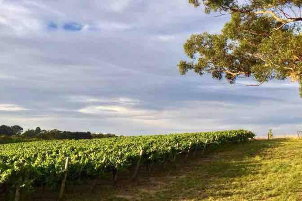 Peaceful 4-Bedroom Vineyard Retreat in Hahndorf