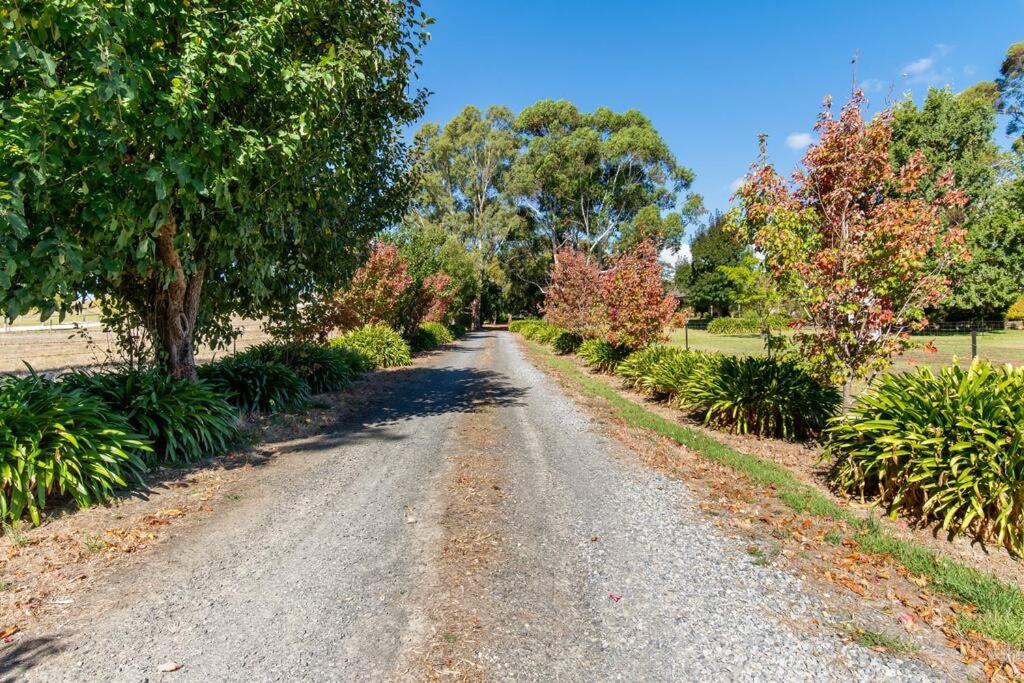 Peaceful 4-Bedroom Vineyard Retreat in Hahndorf