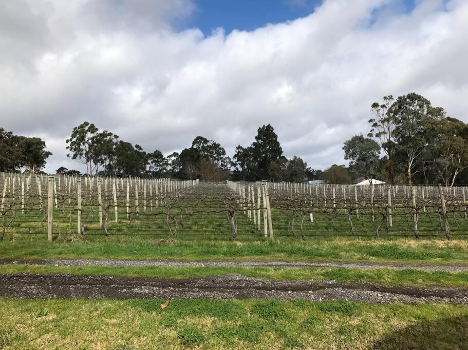 Peaceful 4-Bedroom Vineyard Retreat in Hahndorf