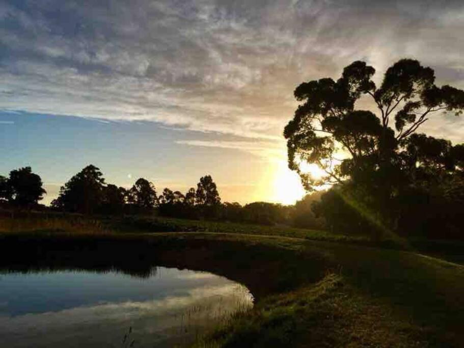 Peaceful 4-Bedroom Vineyard Retreat in Hahndorf
