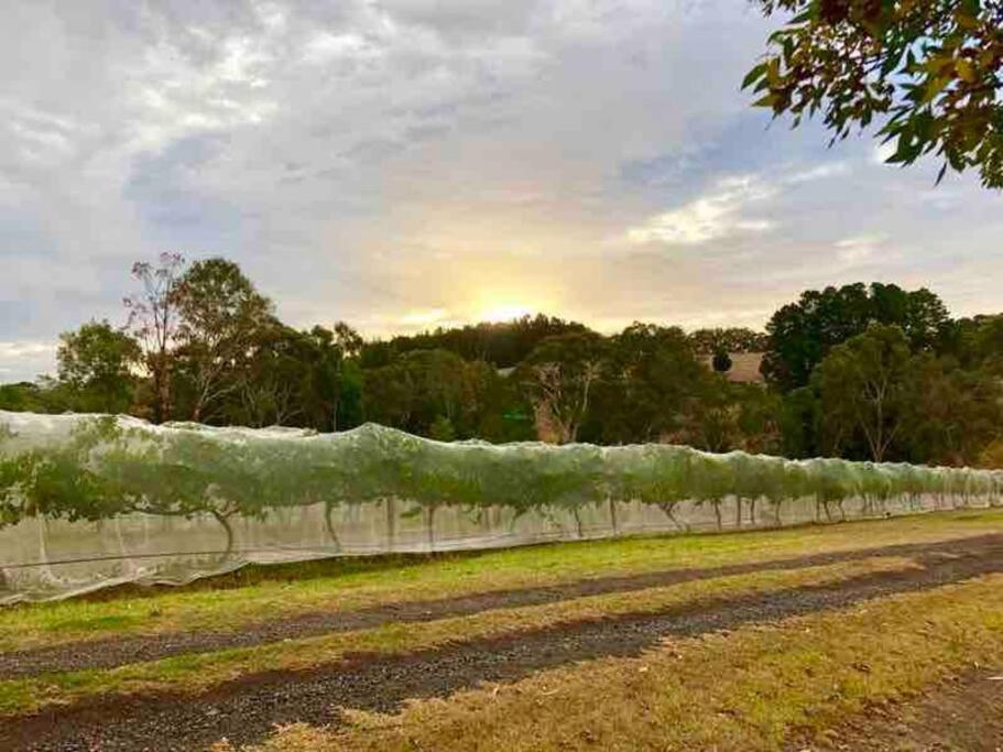 Peaceful 4-Bedroom Vineyard Retreat in Hahndorf