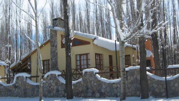 Terrazas En El Bosque Cabañas